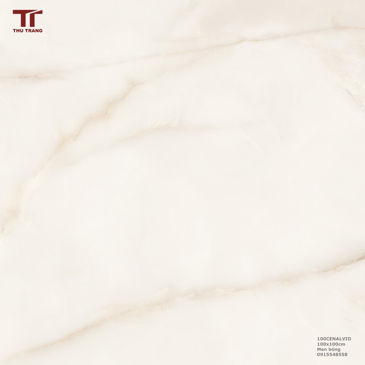 GẠCH VÂN ĐÁ KHỔ LỚN ẤN ĐỘ 100CENA.LVID (100x100cm)