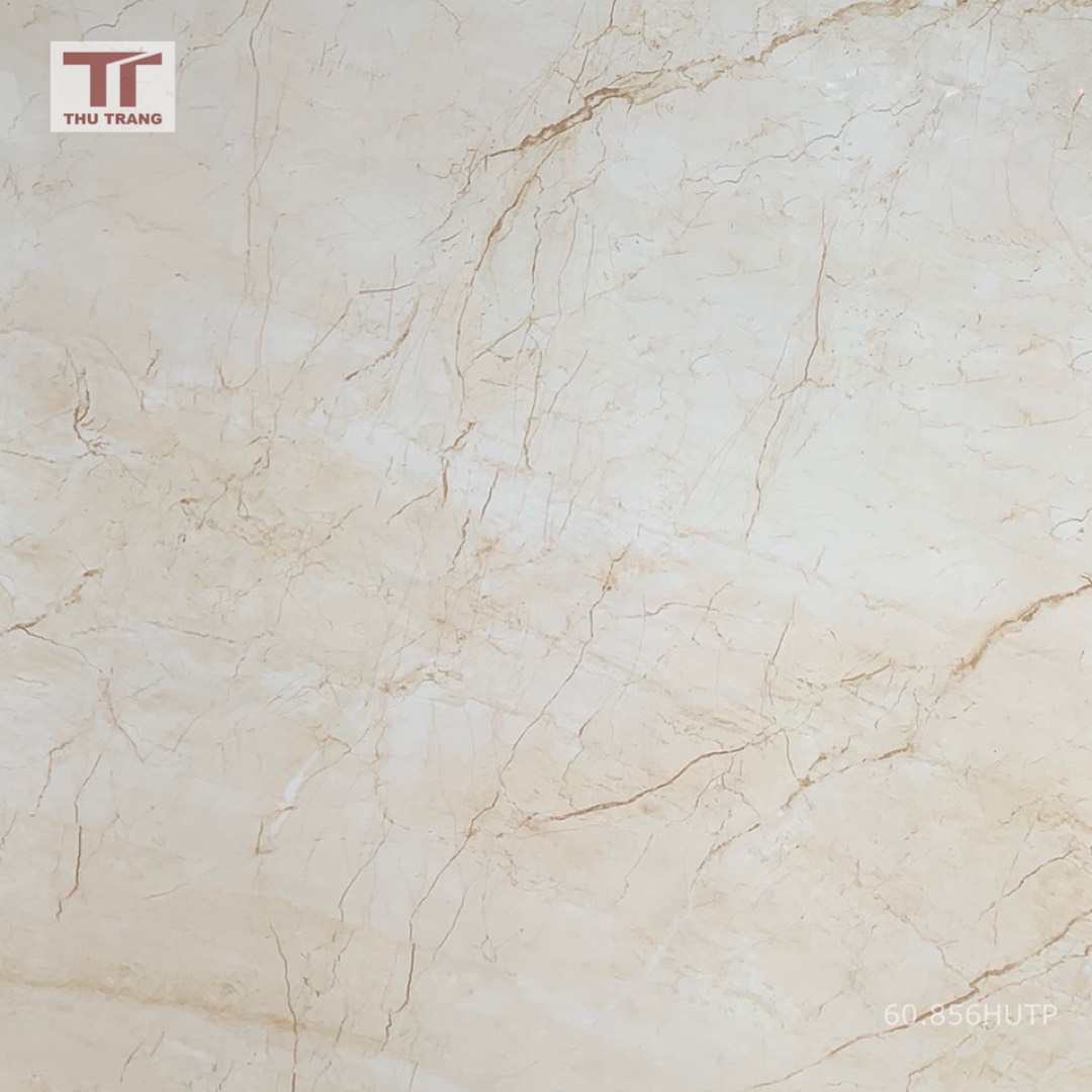 GẠCH VÂN ĐÁ 609856HTP (60x60cm)