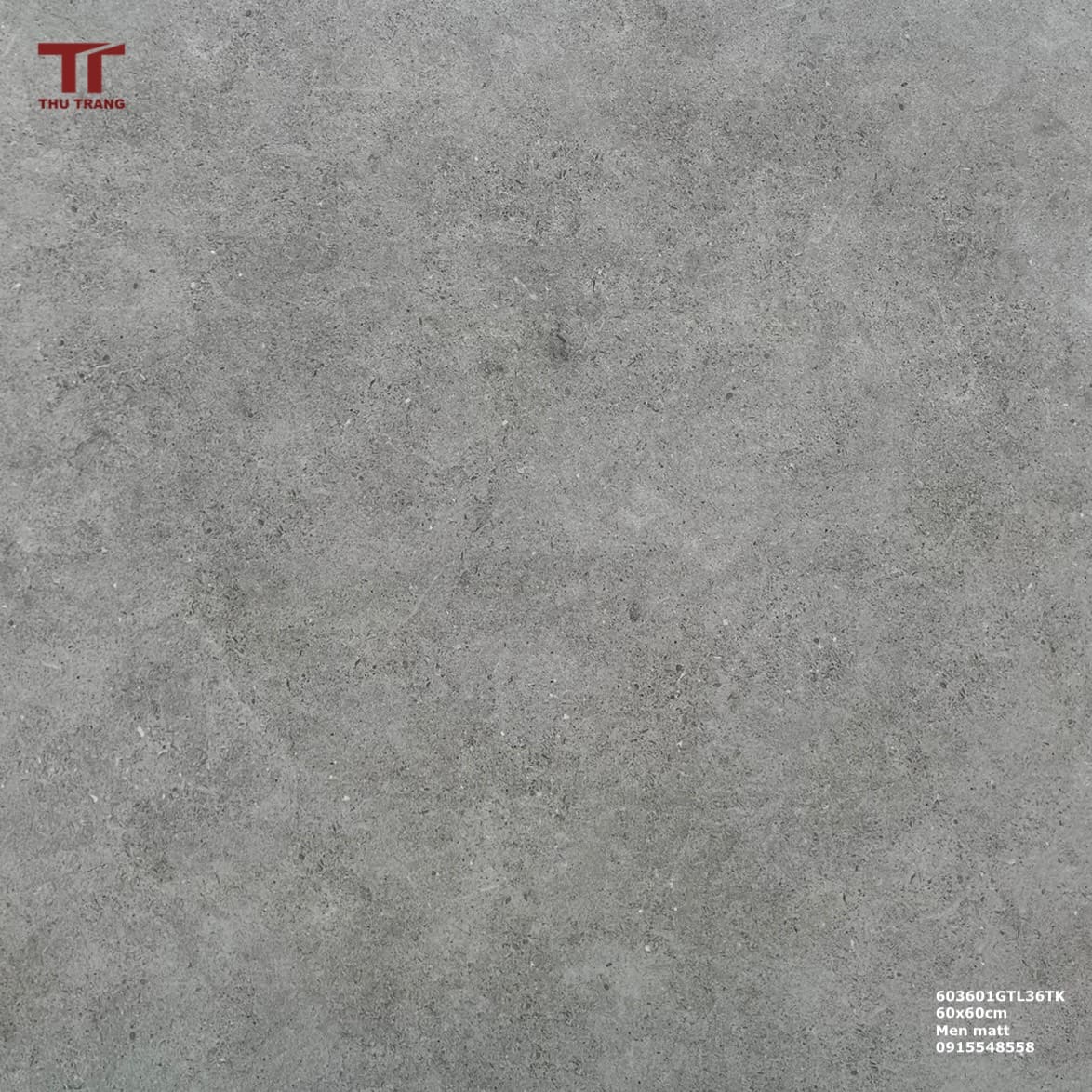 GẠCH VÂN XI MĂNG 603601TL36TK35 (60x60cm)