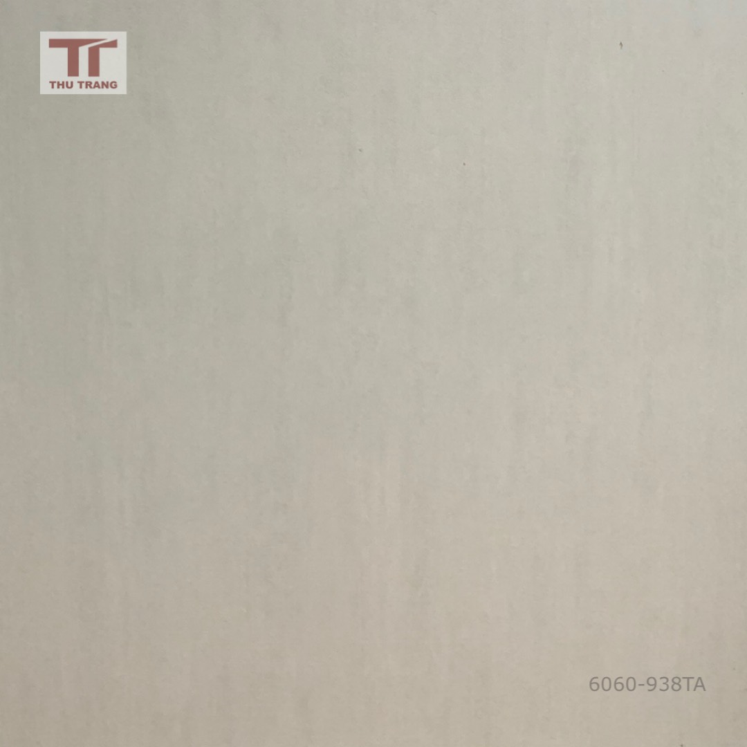 GẠCH VÂN XI MĂNG 60G68938TCR (60x60cm)