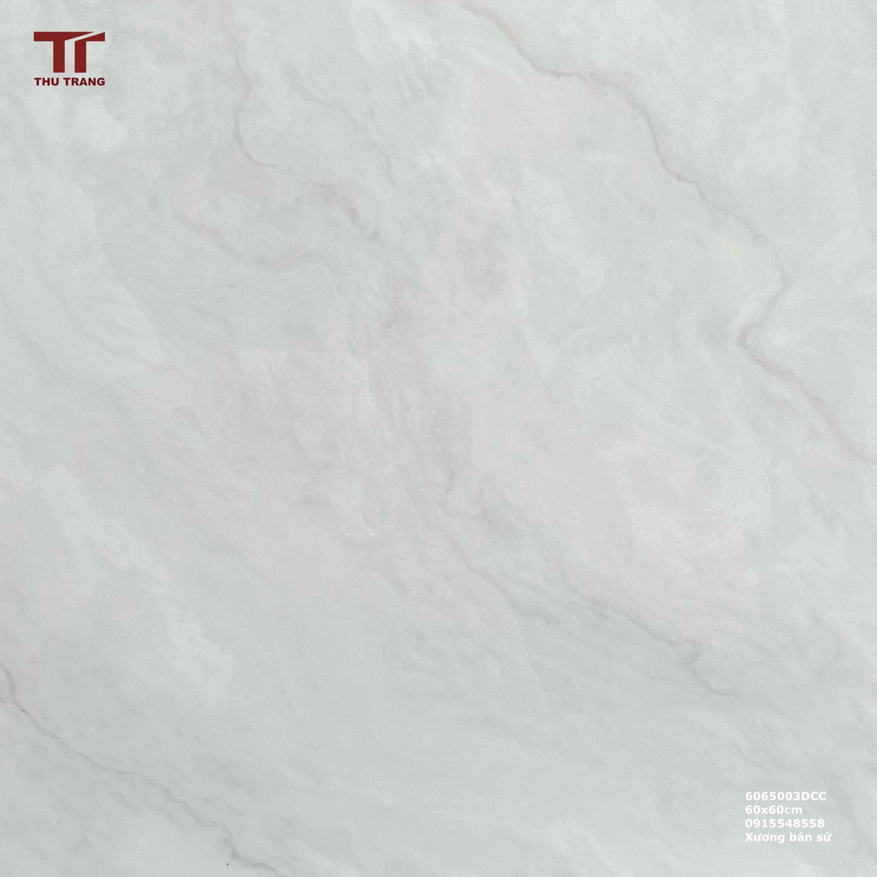 GẠCH VÂN ĐÁ 6065003DCC (60x60cm)