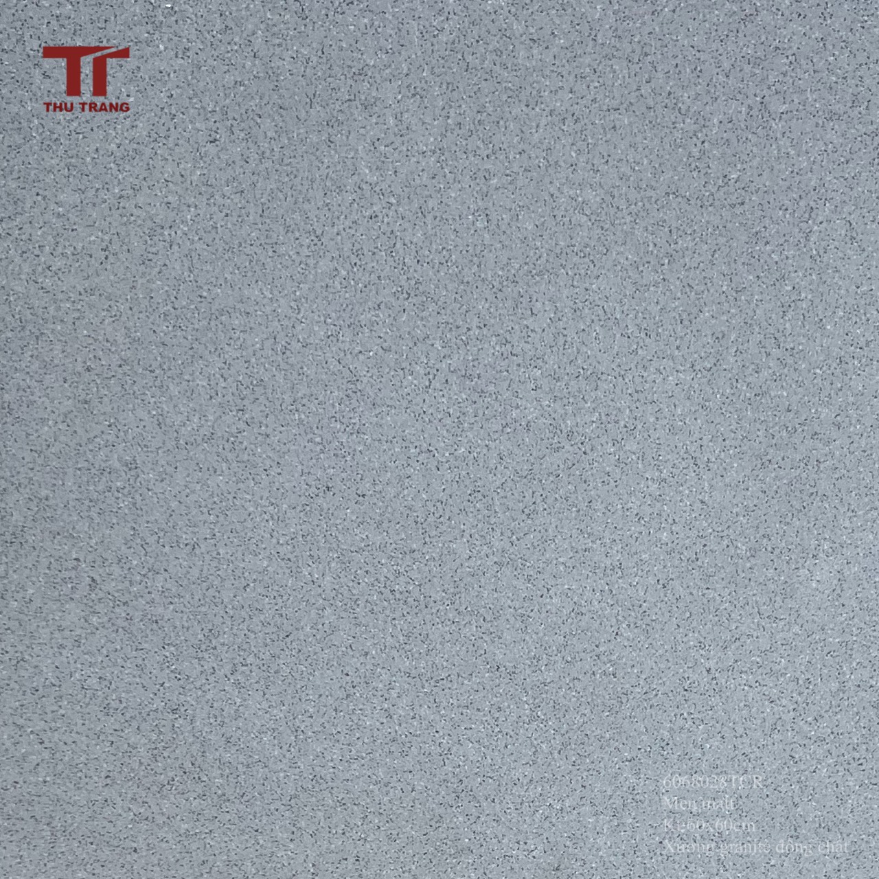 GẠCH GRANITE ĐỒNG CHẤT 6068028TCR (60x60cm)