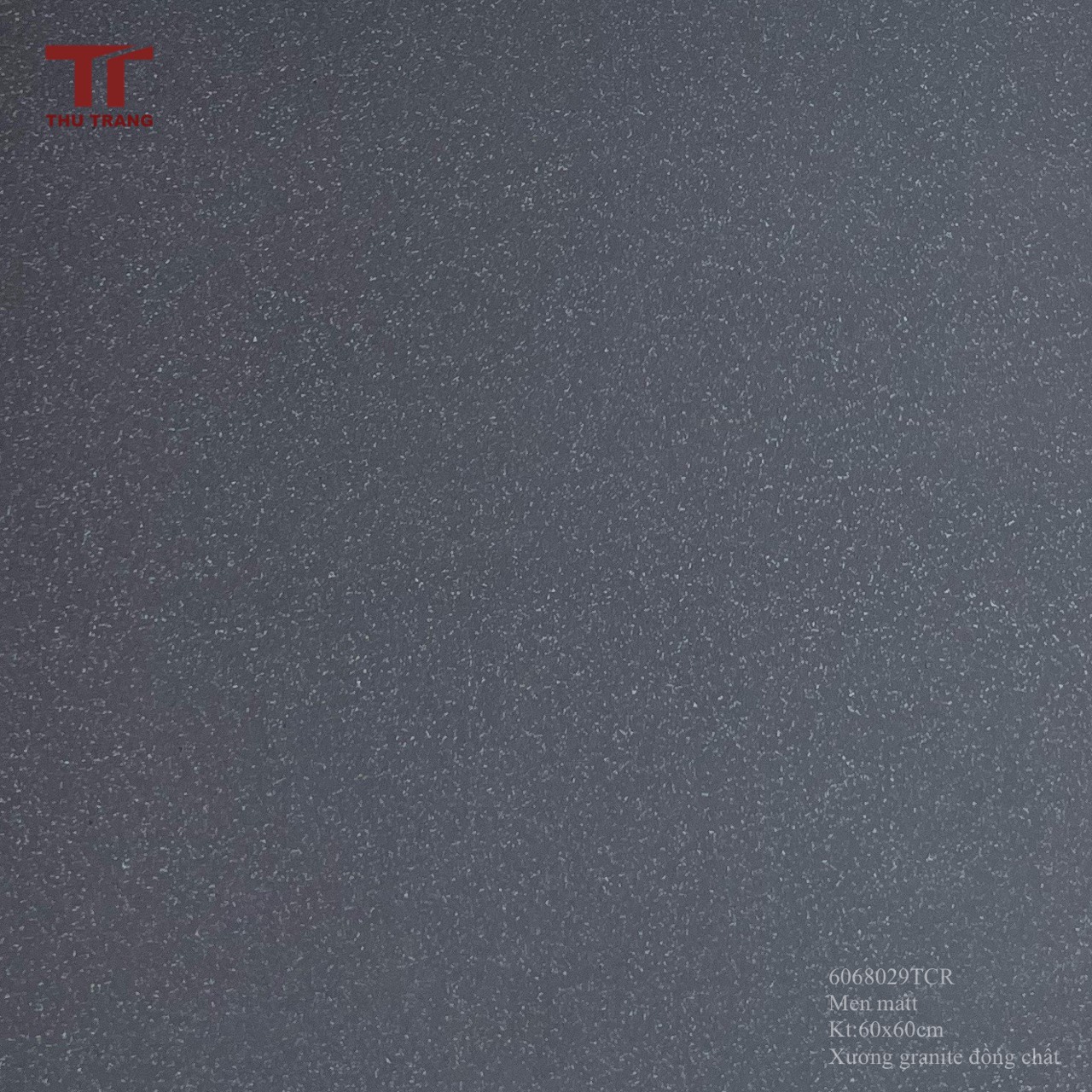 GẠCH TERRAZZO ĐỒNG CHẤT 6068029TCR (60x60cm)