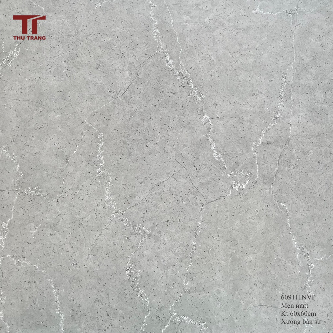 GẠCH VÂN ĐÁ 609111NVP (60x60cm)