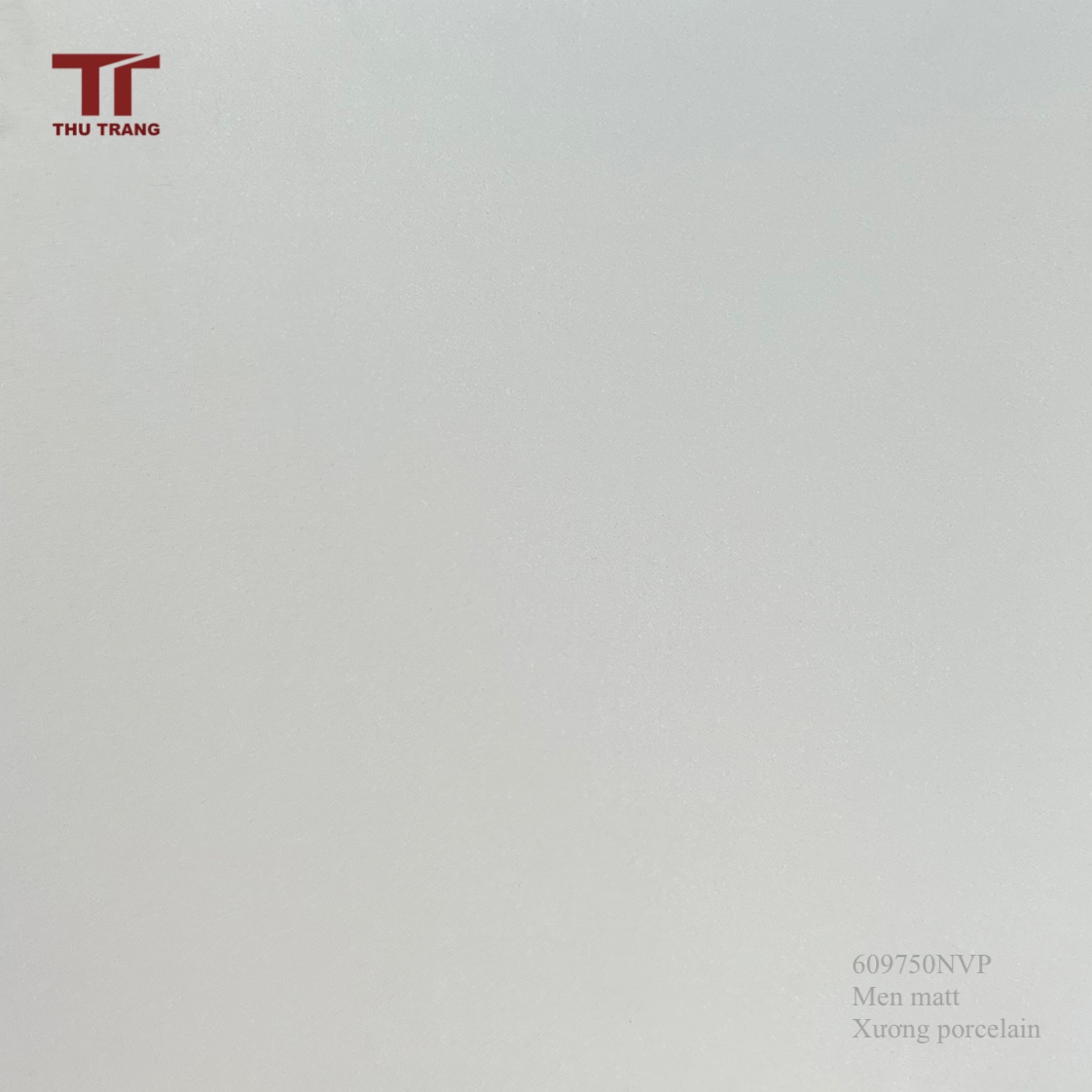 GẠCH TERRAZZO 609750NVP (60x60cm)