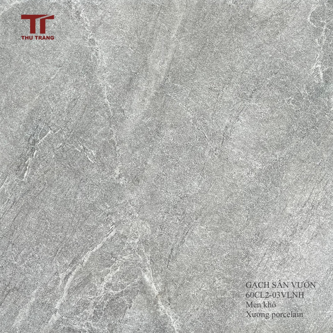 GẠCH VÂN ĐÁ LÁT SÂN 60CL2-03NHVL (60x60x2cm)
