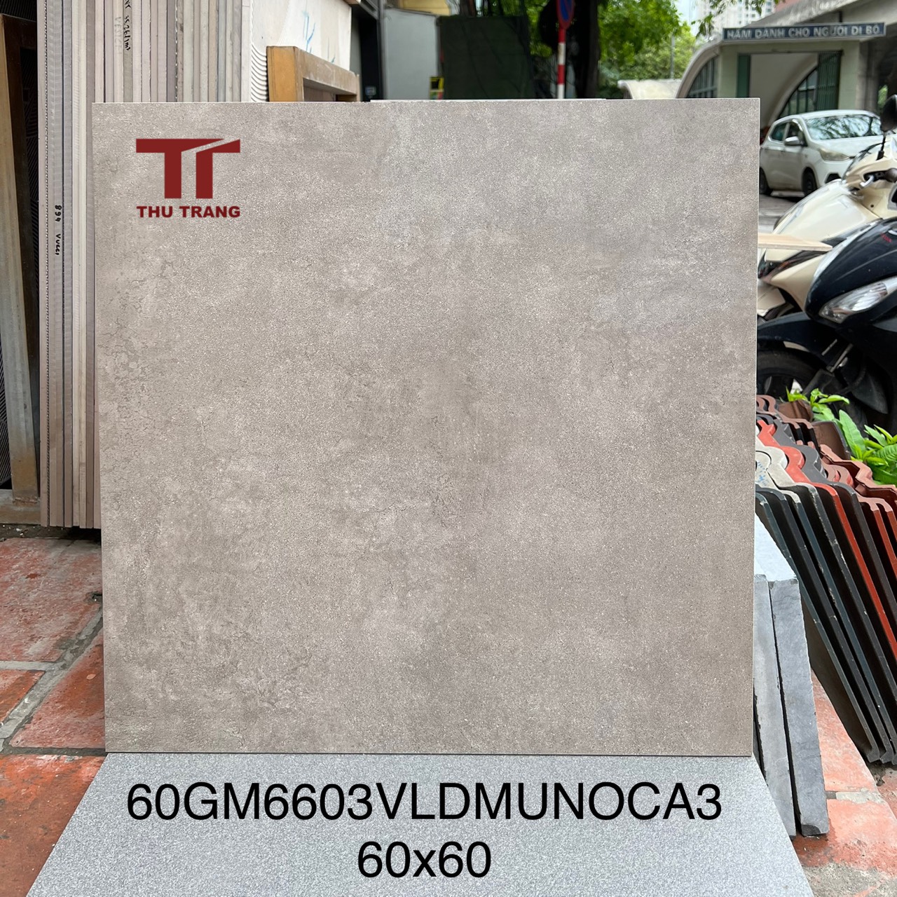 60GM6603VLDMCA31
