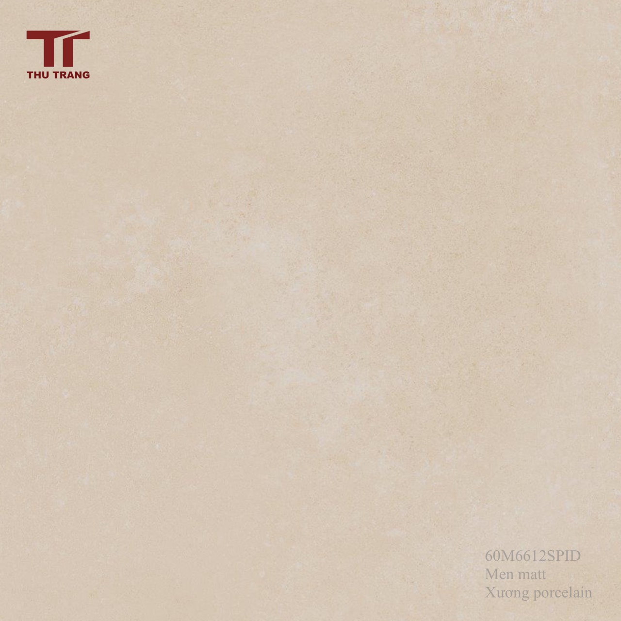 GẠCH VÂN XI MĂNG INDONESIA 60M66120SPIND (60x60cm)