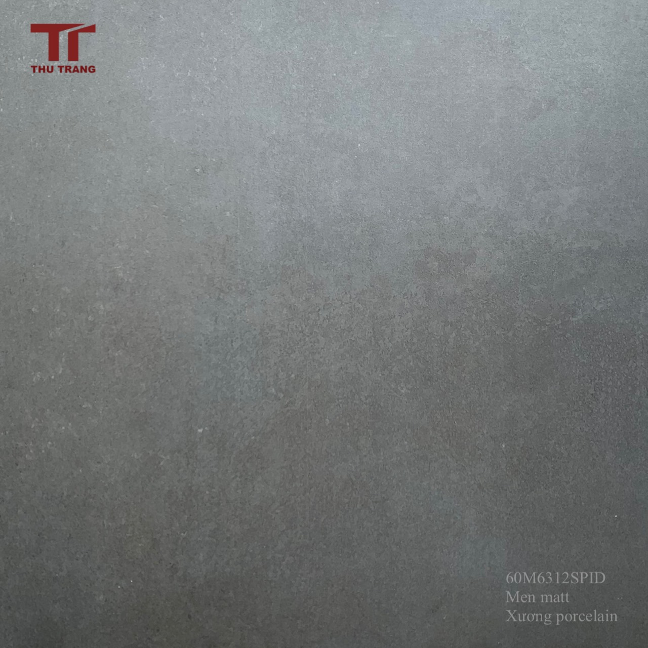 GẠCH VÂN XI MĂNG INDONESIA 60M312SPIND (60x60cm)