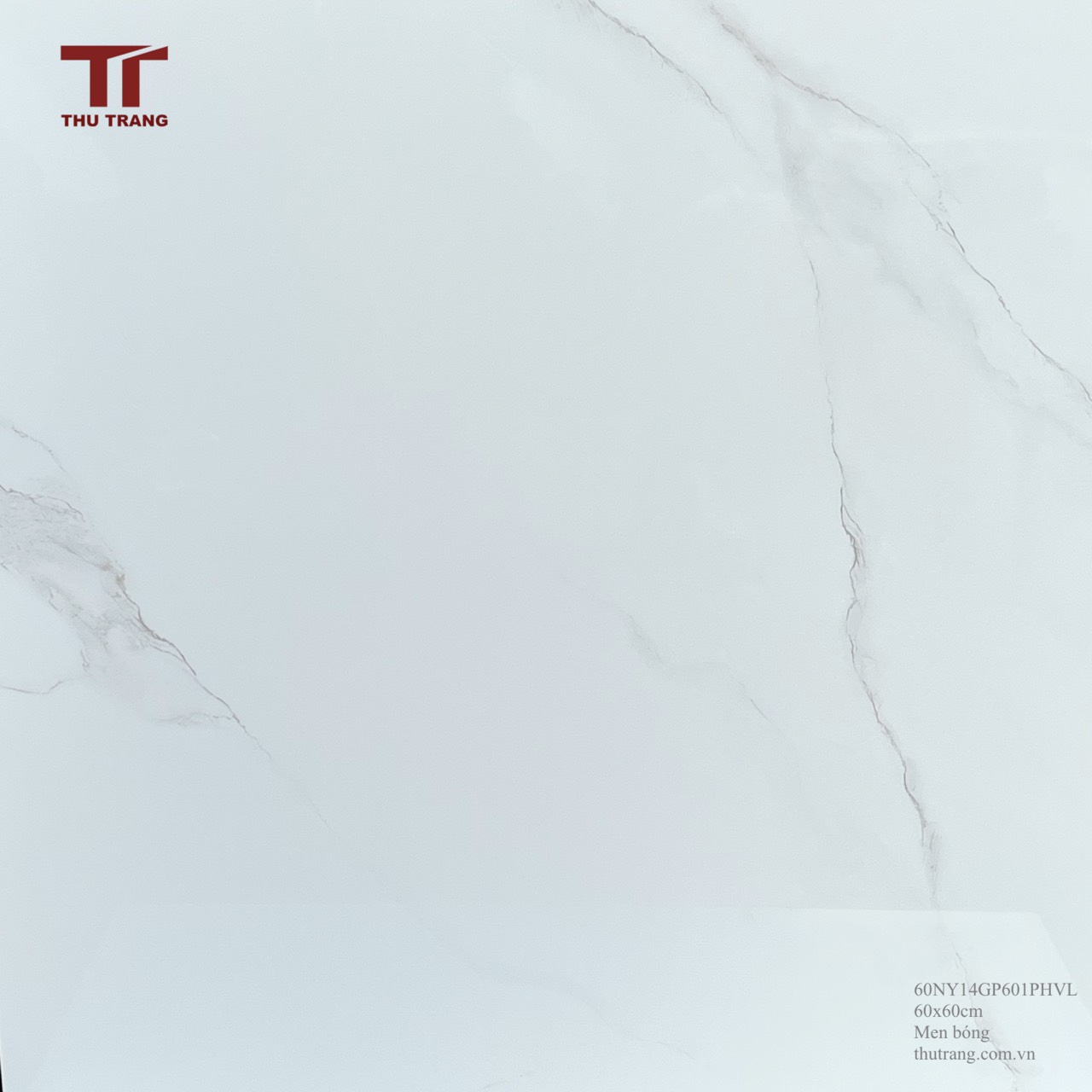 GẠCH VÂN ĐÁ 60NY14GP601PHVL (60x60cm)