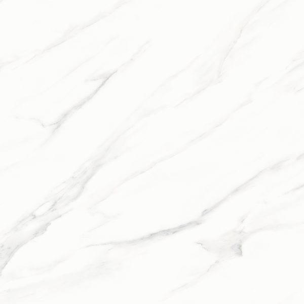 60P68073RYM-F3(600x600)