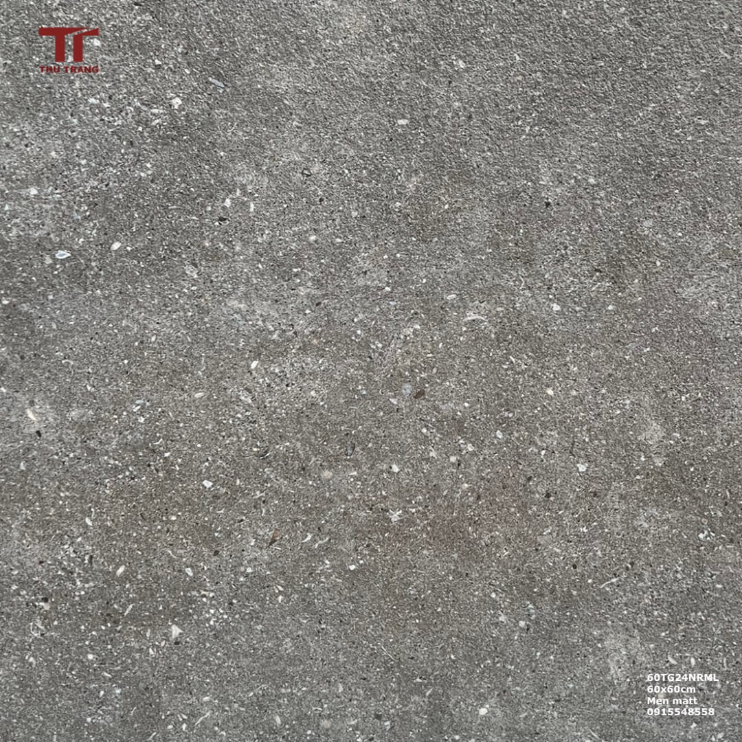 GẠCH TERRAZZO MALAYSIA 60TG24US.NRML (60x60cm)
