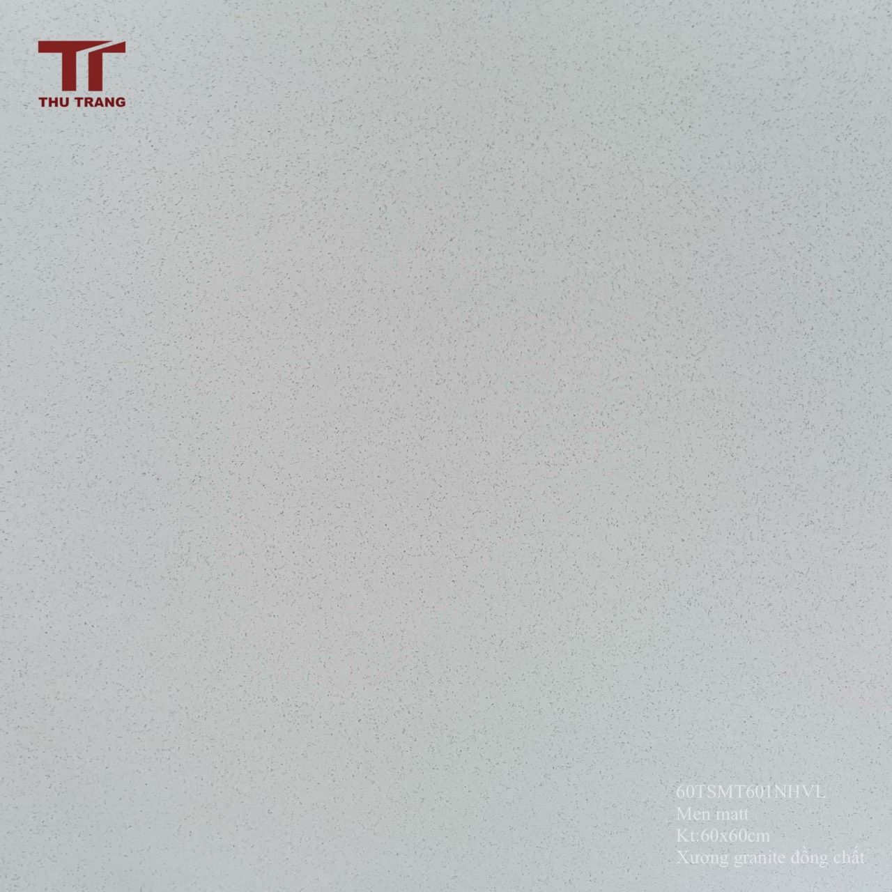 GẠCH TERRAZZO 60TSMT601VL (60x60cm)