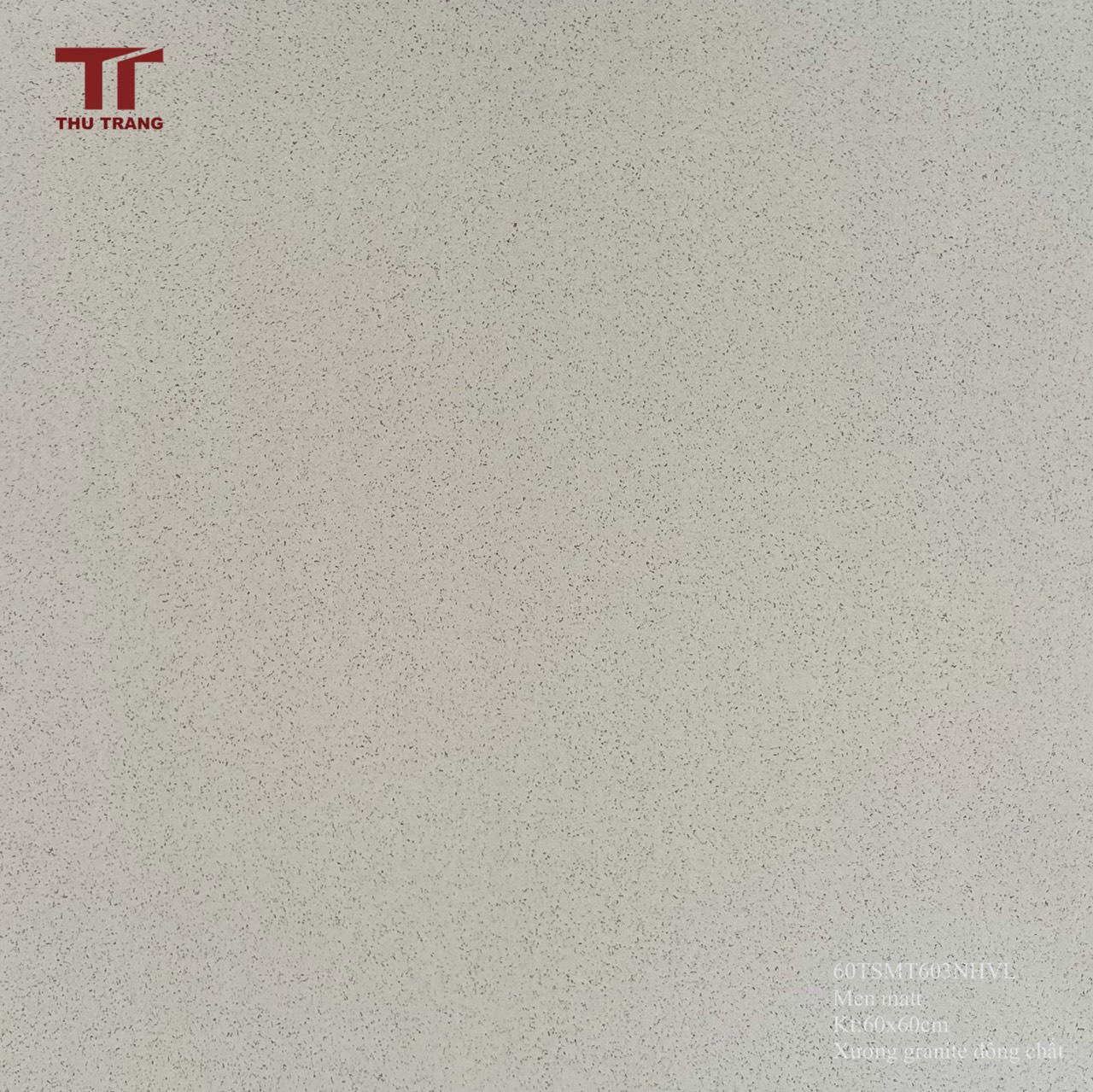 GẠCH TERRAZOO 60TSMT603VL (60x60cm)