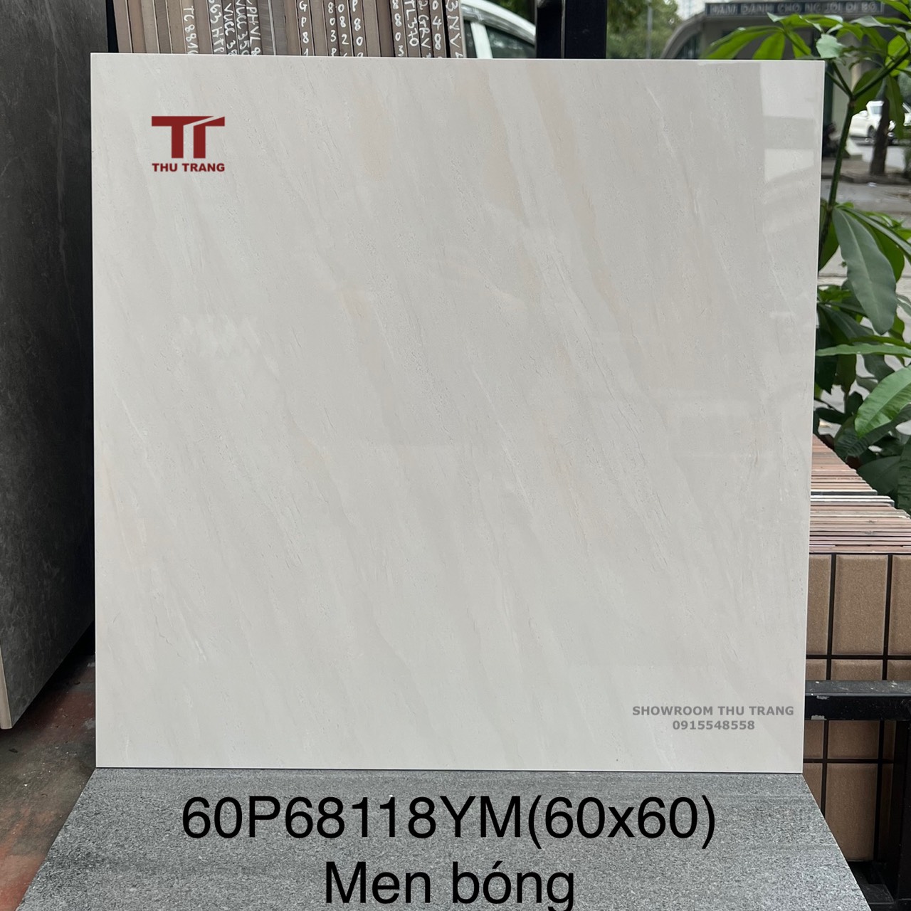 60p68116YM1