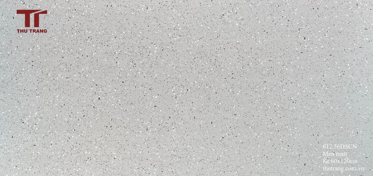 GẠCH TERRAZZO TRUNG QUỐC 612TRZ656DSCN (60x120cm)