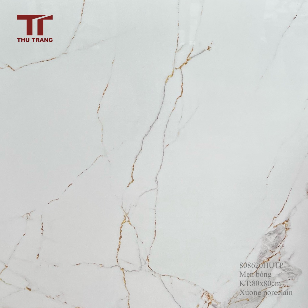 GẠCH VÂN ĐÁ 808620HTP (80x80cm)