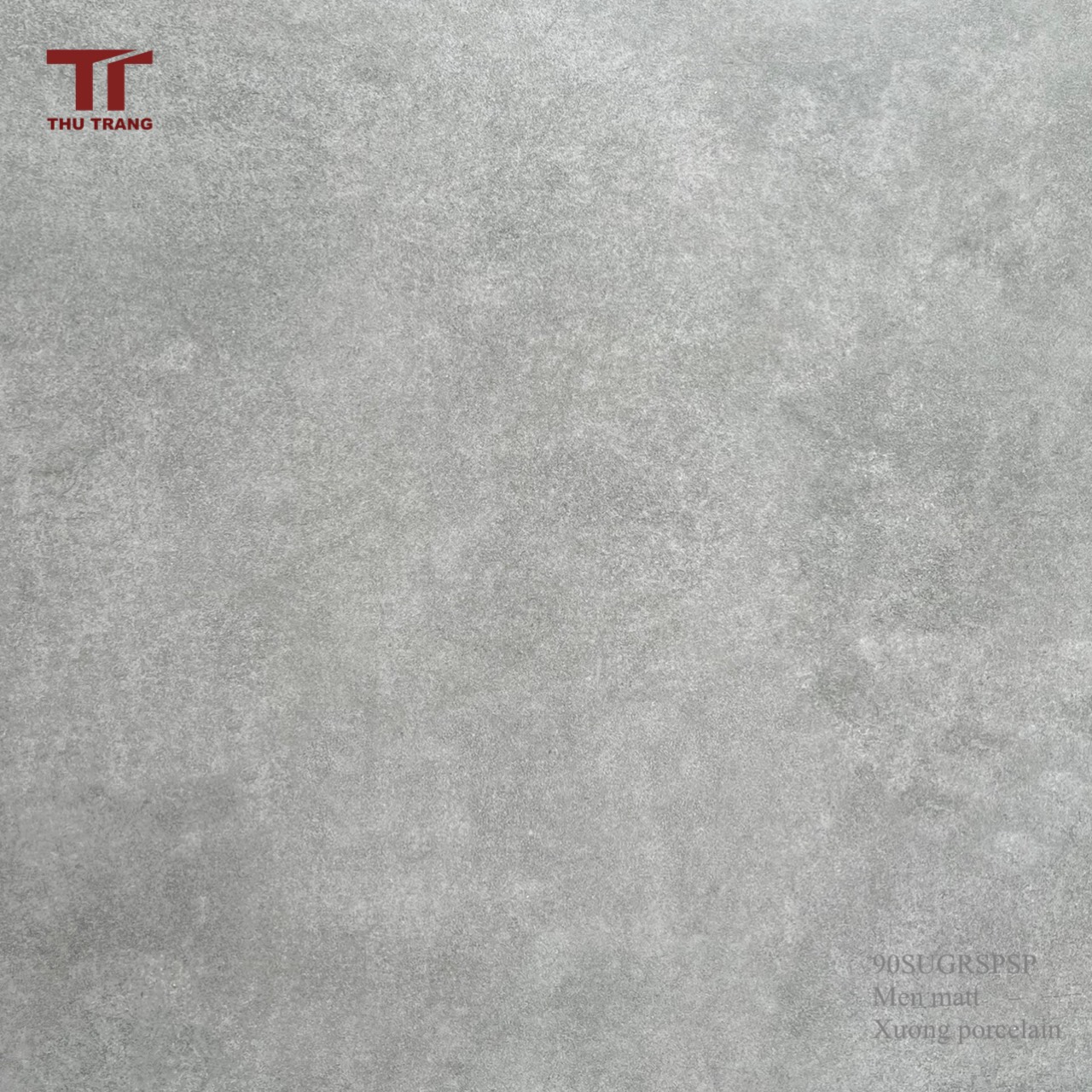 GẠCH VÂN XI MĂNG TÂY BAN NHA 90SUGR.SPSP (90x90cm)