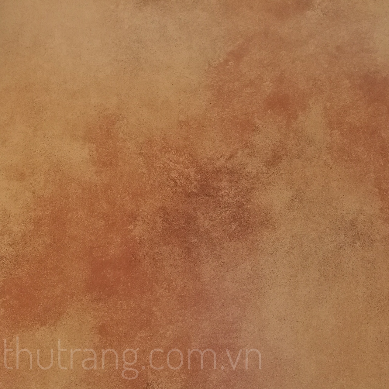 gạch tông màu xi măng 60×60 A6303