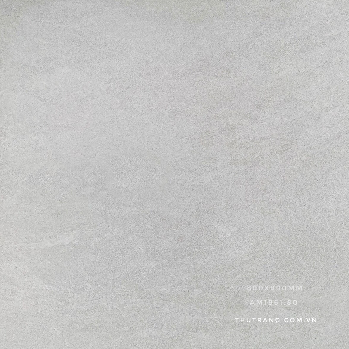Gạch vân xi măng 80×80 AM1861.80