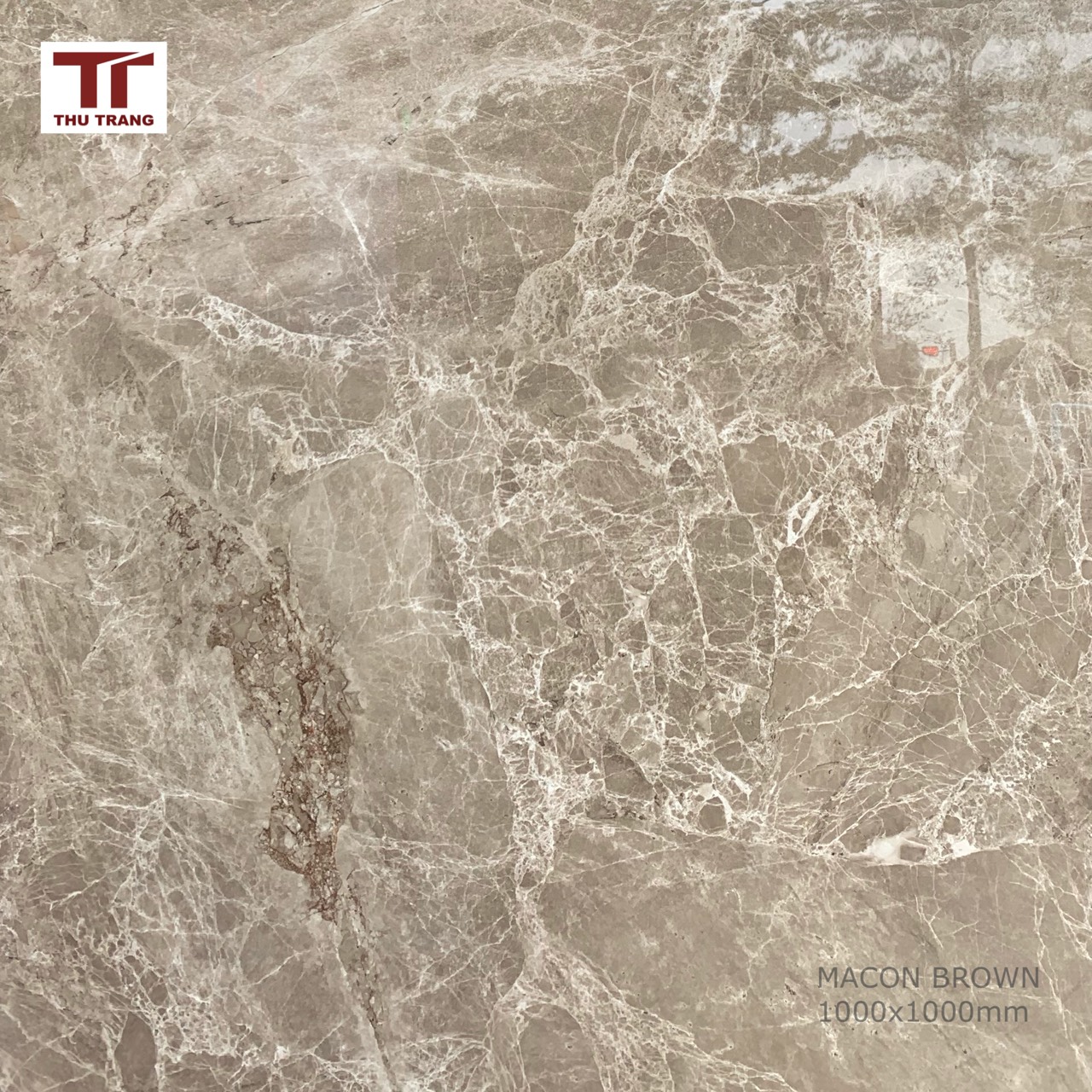 GẠCH VÂN ĐÁ KHỔ LỚN ẤN ĐỘ 120MCBRDAID4 (120x120cm)