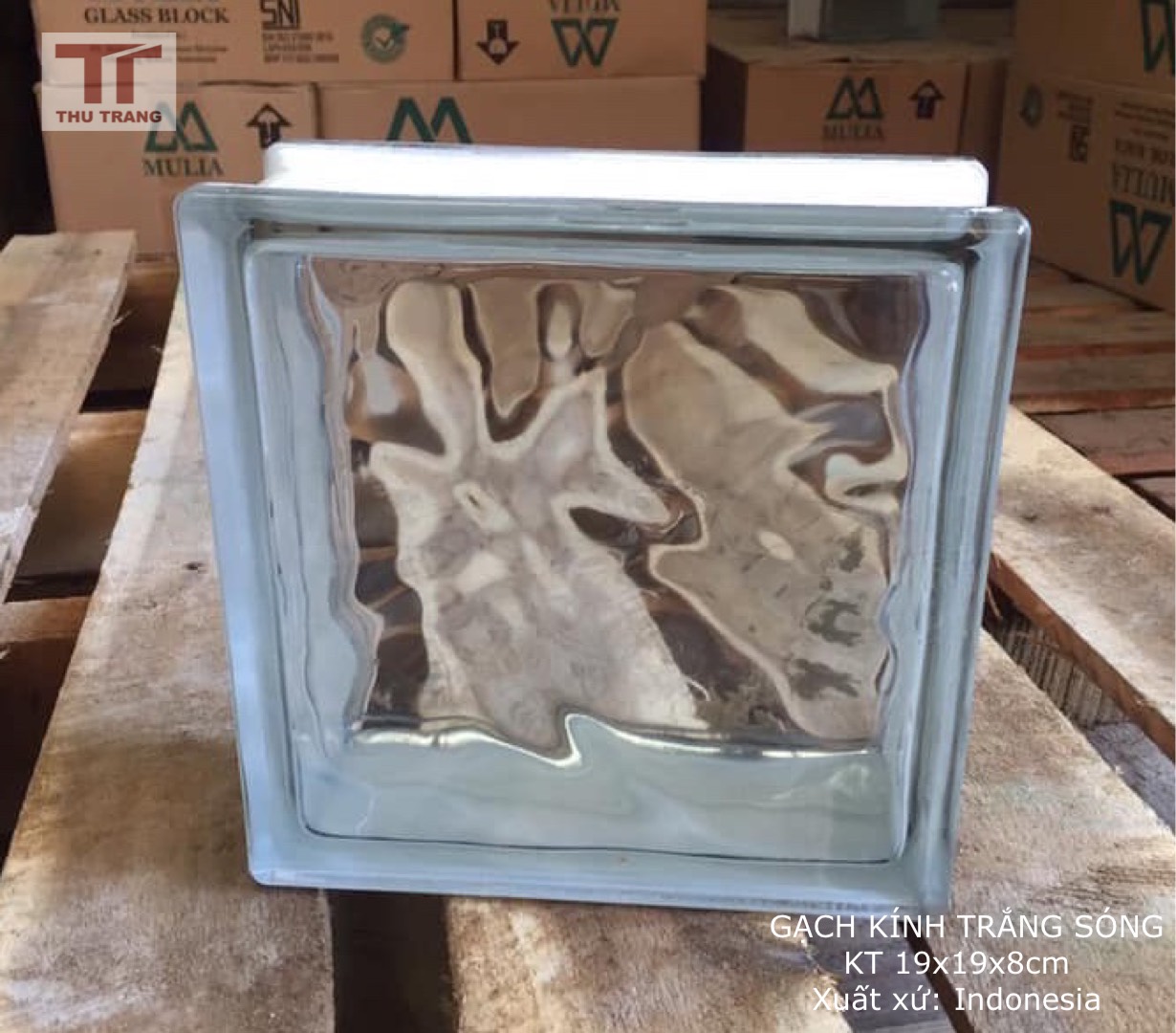 GẠCH KÍNH LẤY SÁNG INDOENSIA TRẮNG SÓNG ( 19x19x8cm )