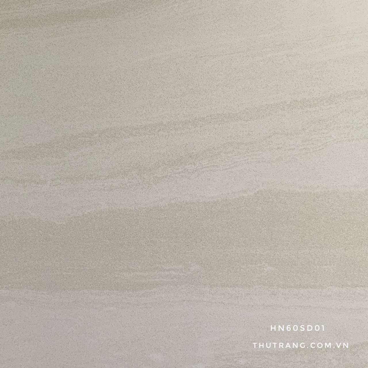 GẠCH VÂN ĐÁ TƯ NHIÊN 60X60 HN60SD01