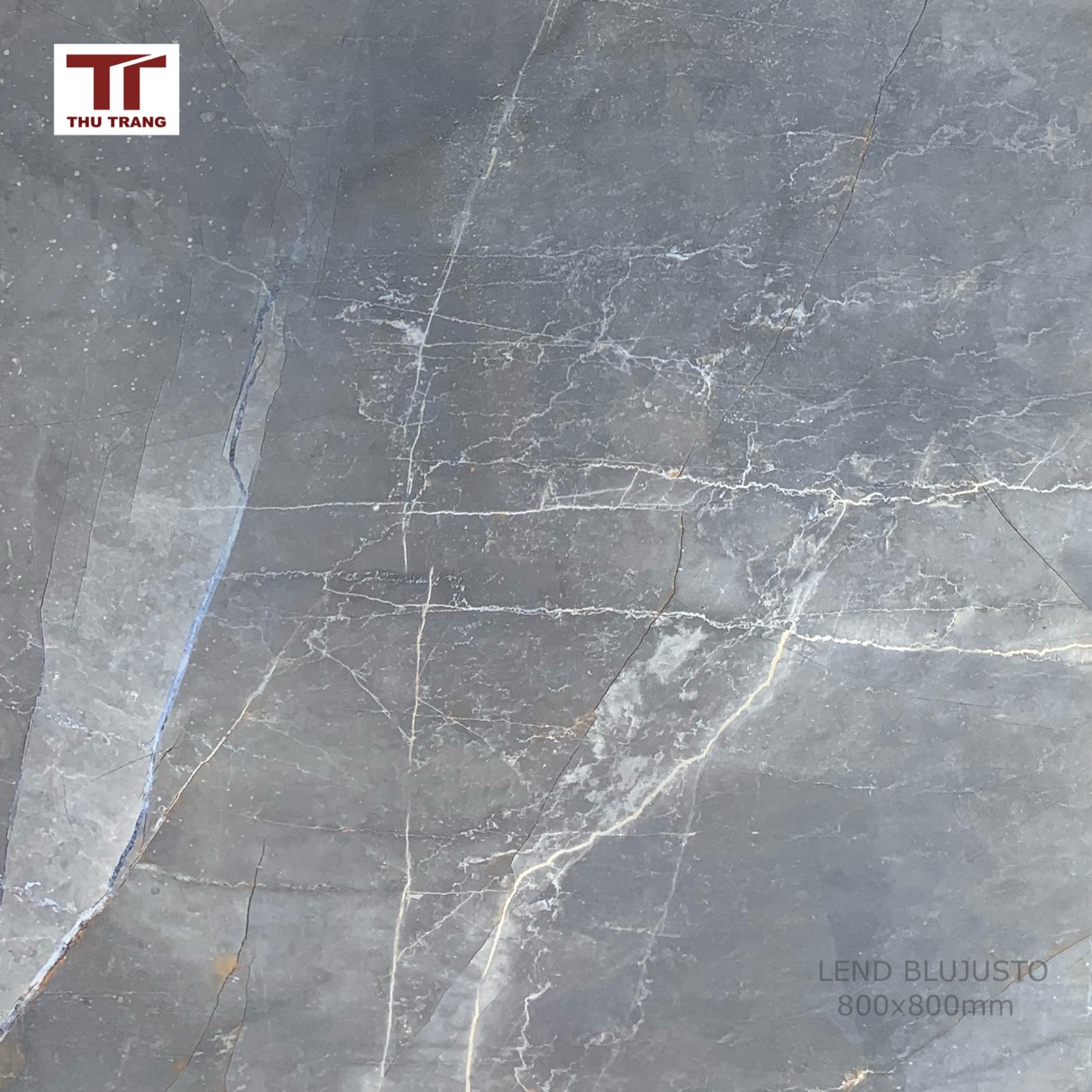 GẠCH VÂN ĐÁ ẤN ĐỘ 80LEBL.AHID (80x80cm)
