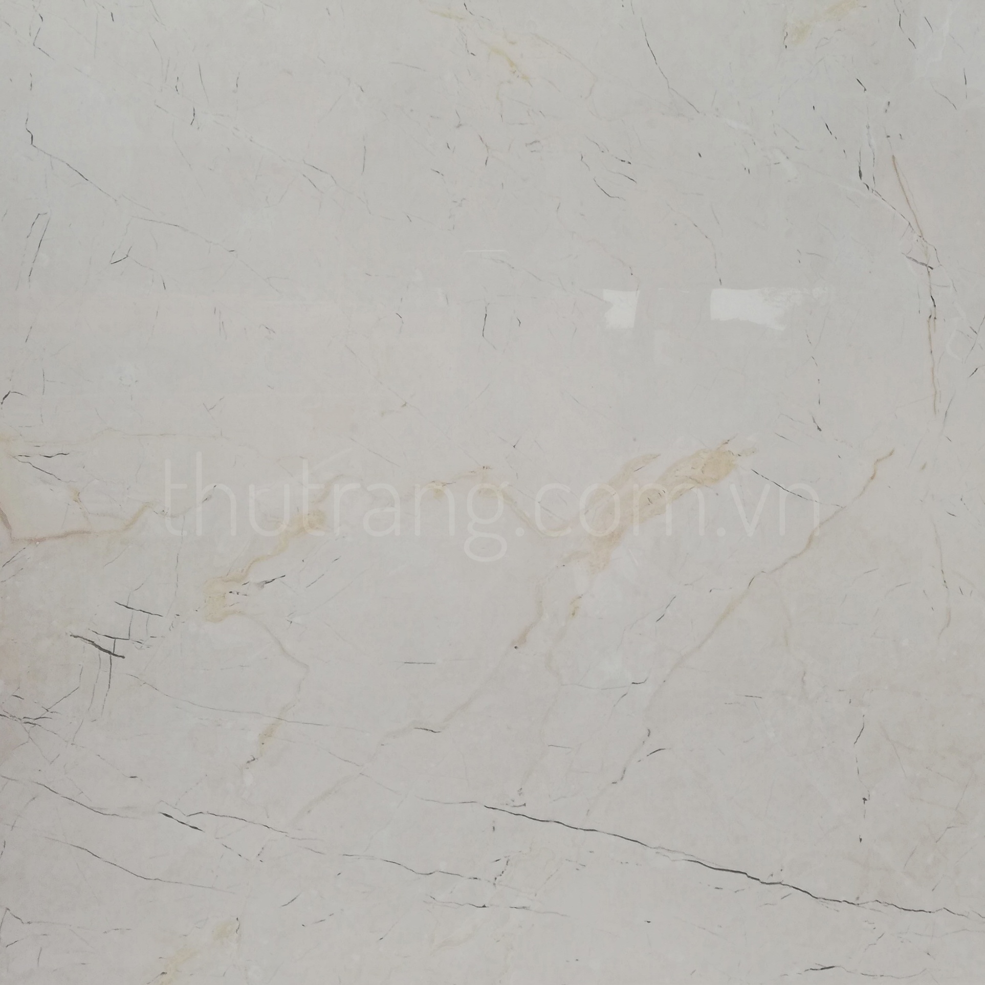 GẠCH LÁT NỀN 80×80 M-IVEBE