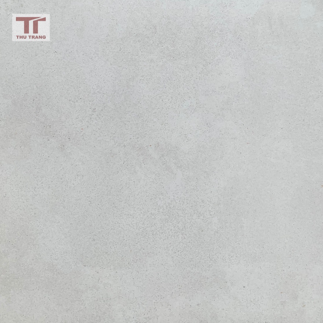 GẠCH TERRAZZO MALAYSIA 60SM8K1D.SPML (60x60cm)