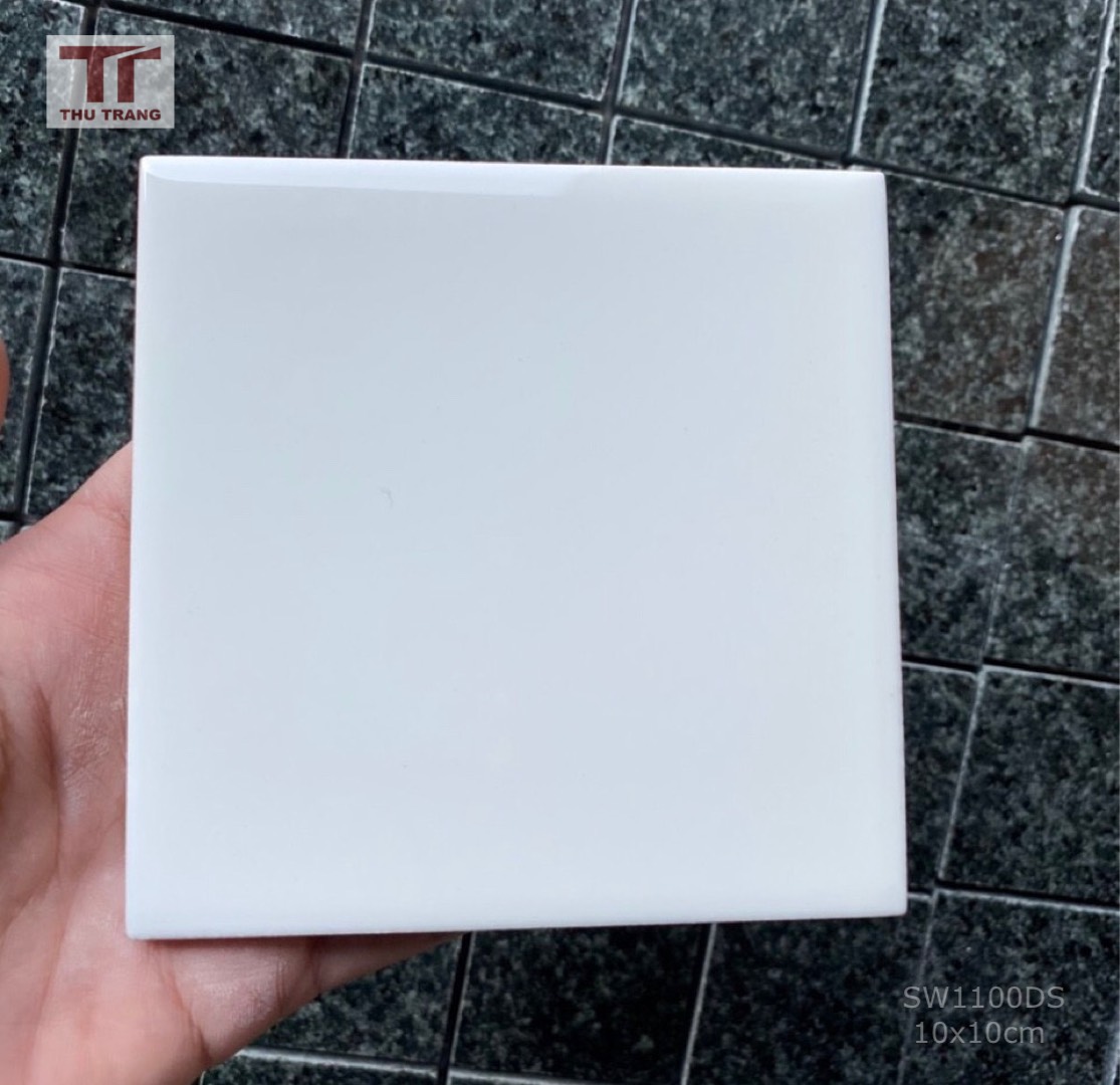 GẠCH TRANG TRÍ SUBWAY 10M1100DSVN (10x10cm)
