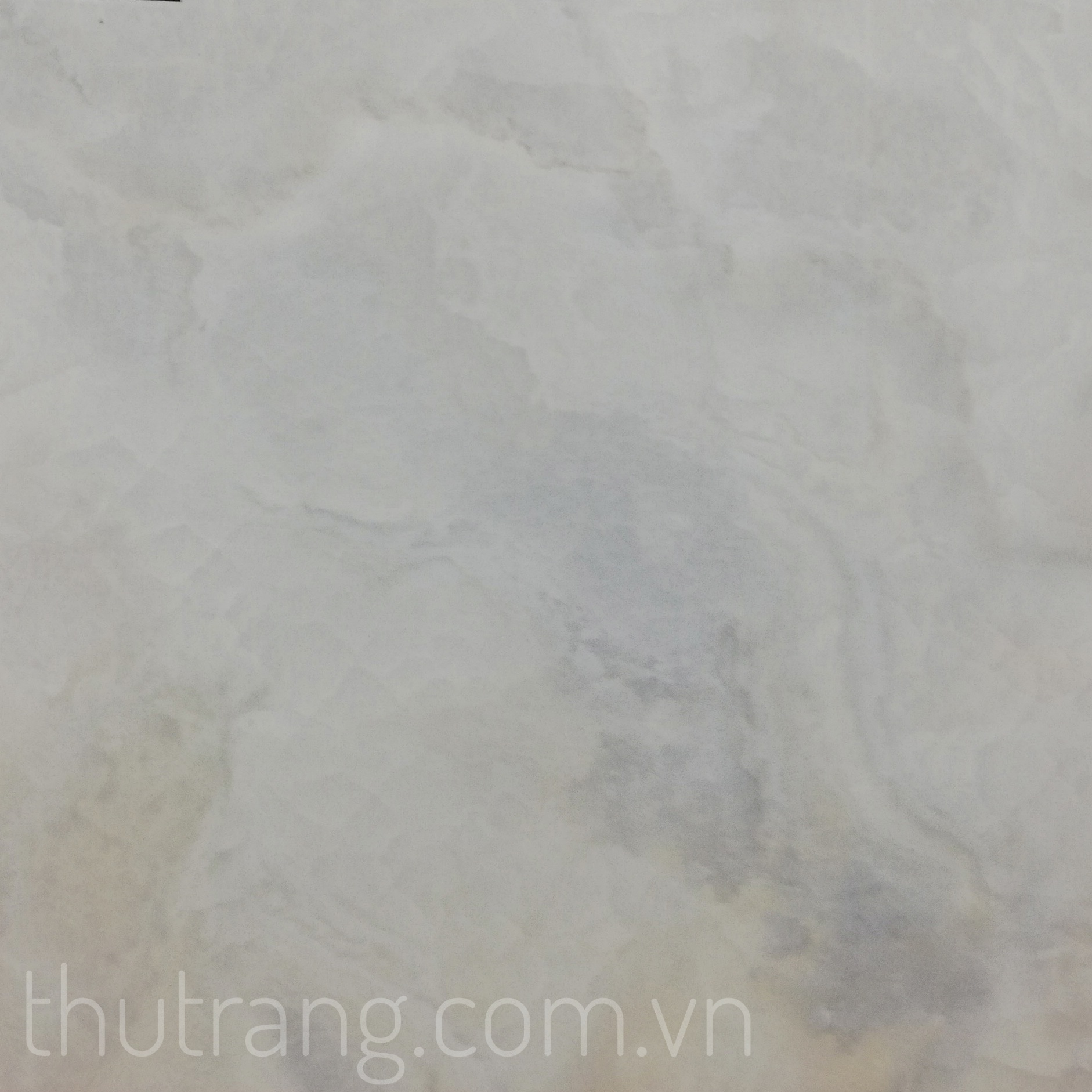 GẠCH LÁT NỀN 60×60; 80×80 BCN60024