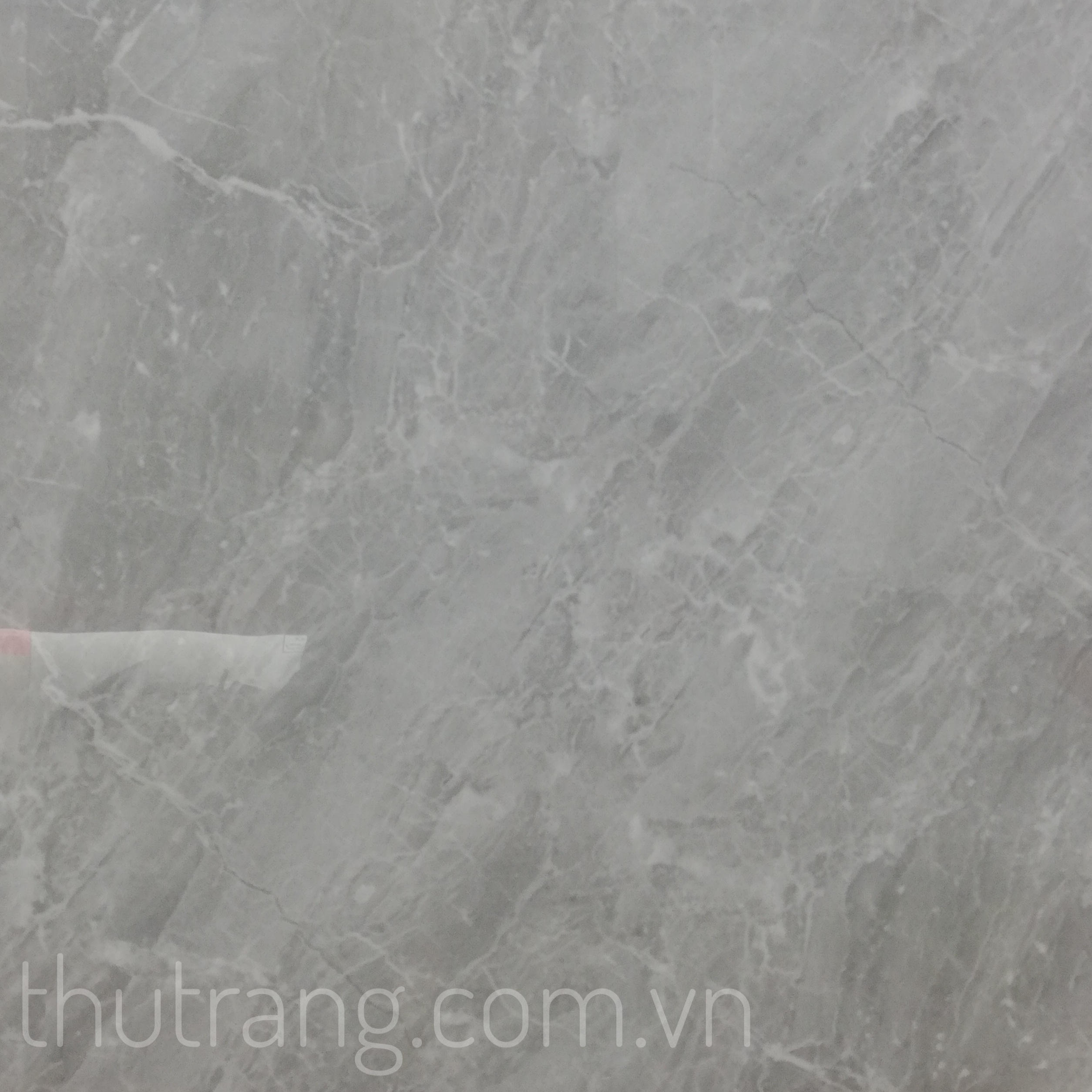 GẠCH LÁT NỀN 60×60; 80×80 BCN 6042