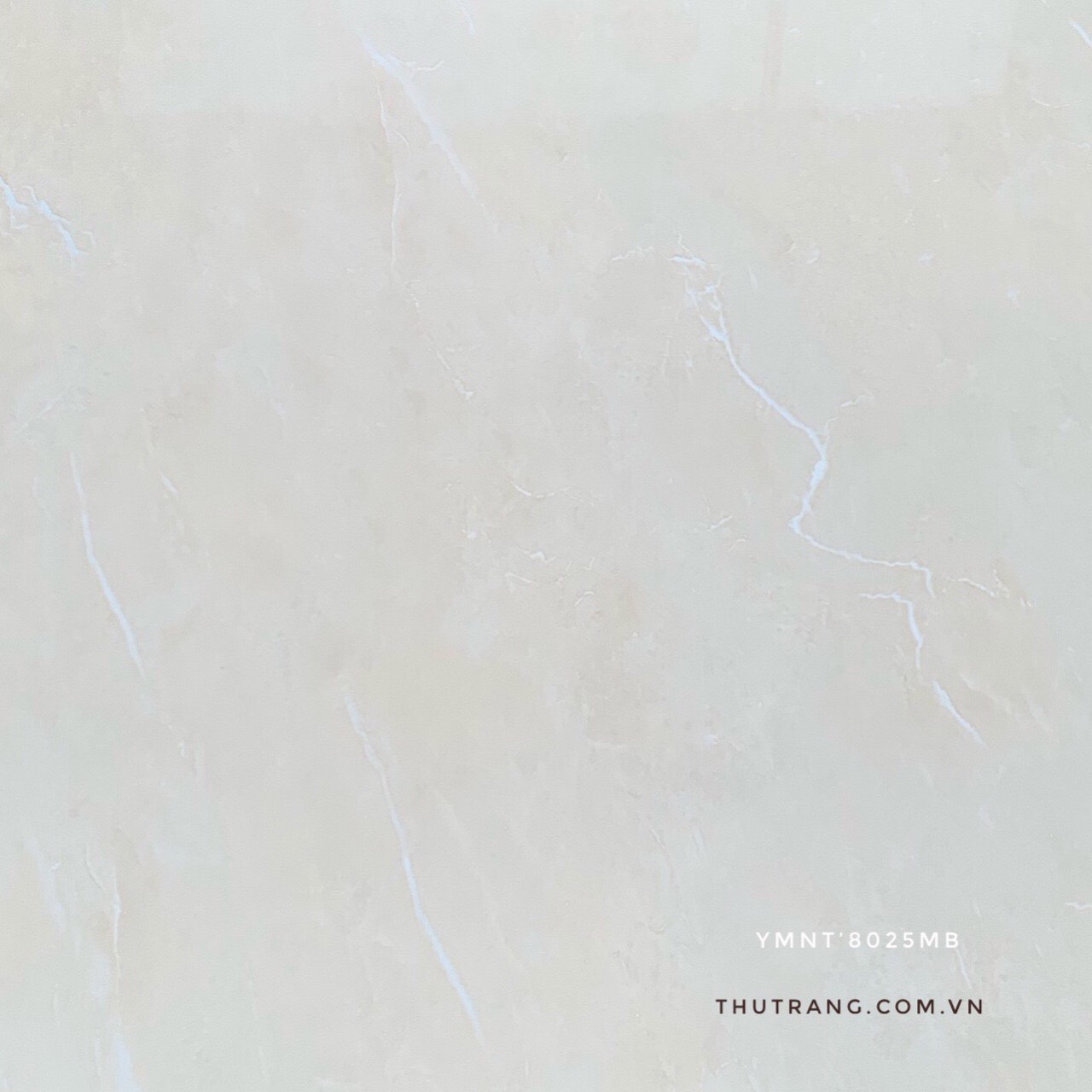 GẠCH VÂN ĐÁ 80P88025MYM (80x80cm)