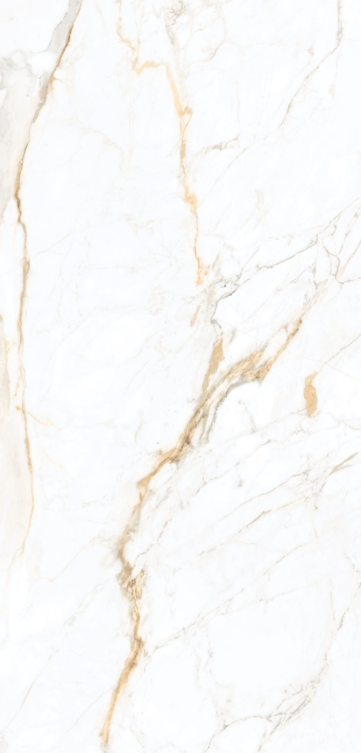 GẠCH VÂN ĐÁ ẤN ĐỘ 612SASB.TSPID (60x120cm)