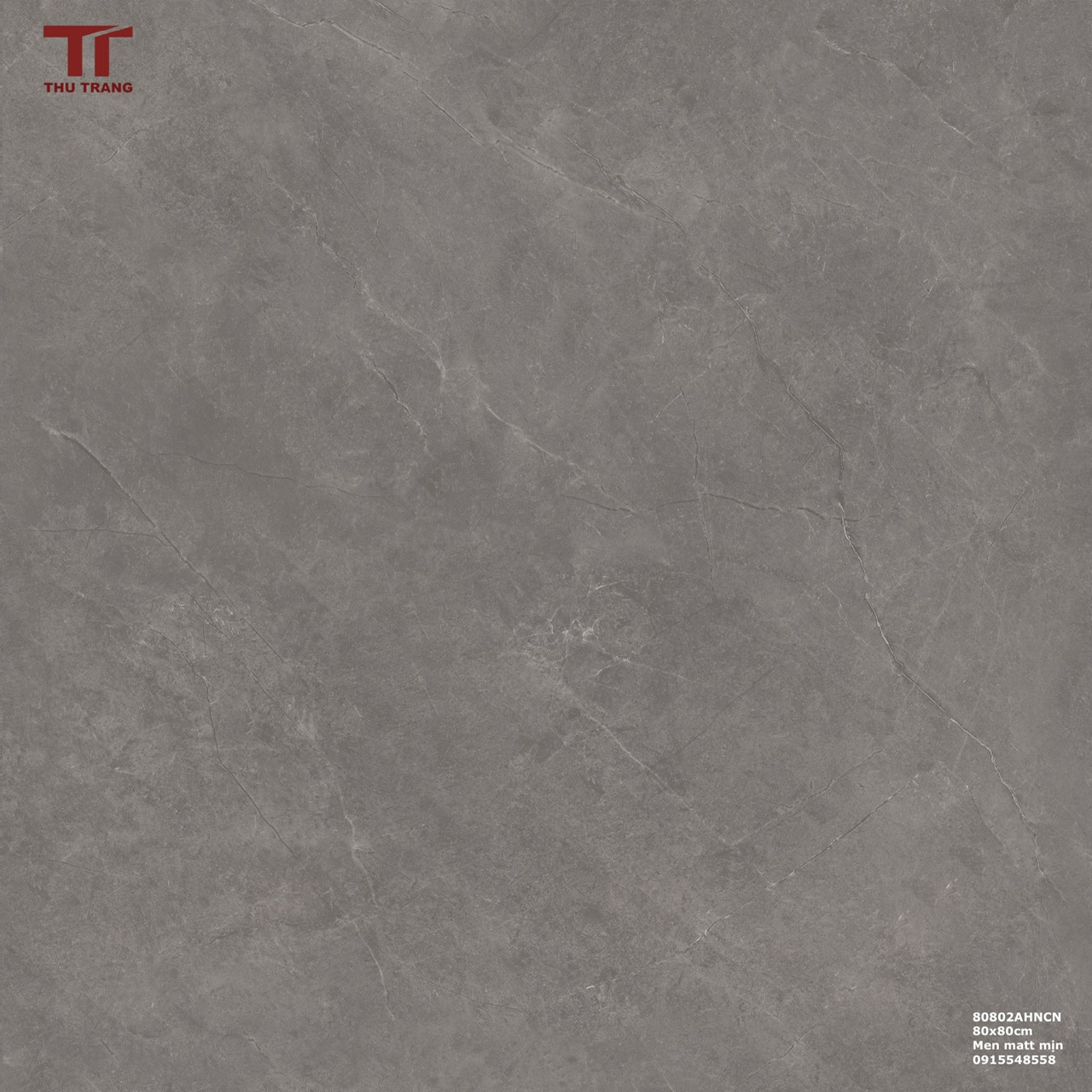 GẠCH VÂN ĐÁ TRUNG QUỐC CAO CẤP 80802AHNCN (80x80cm)