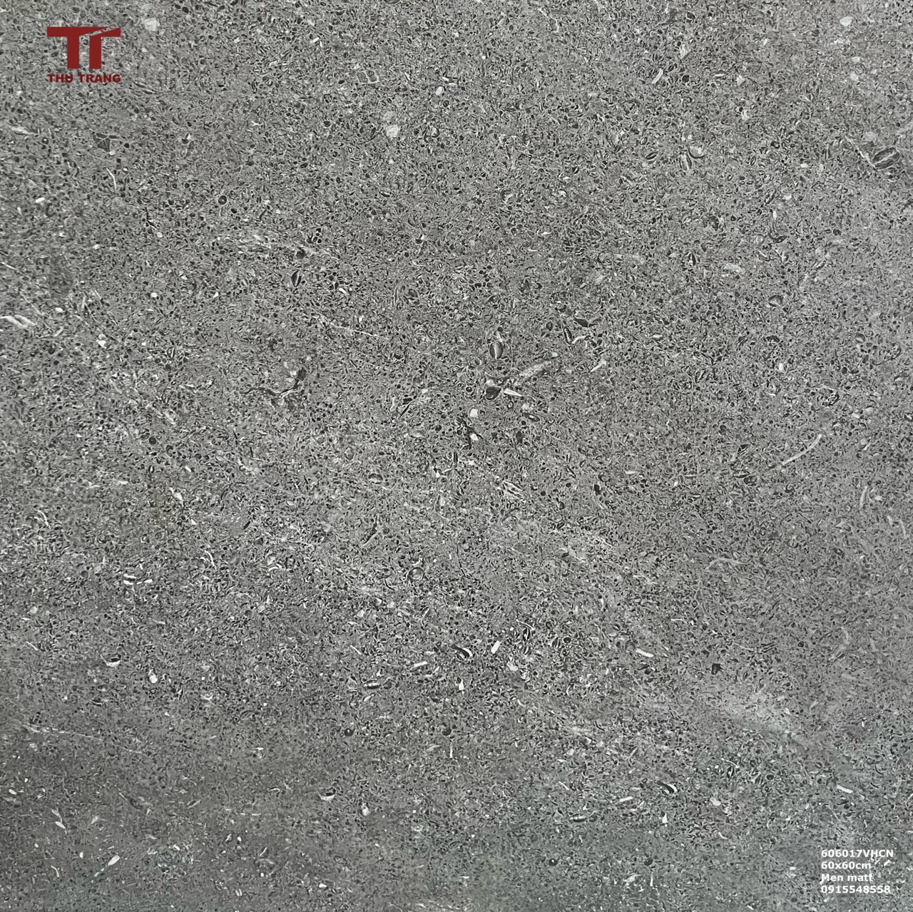 GẠCH TERRAZZO TRUNG QUỐC 606017VAHCN5 (60x60cm)