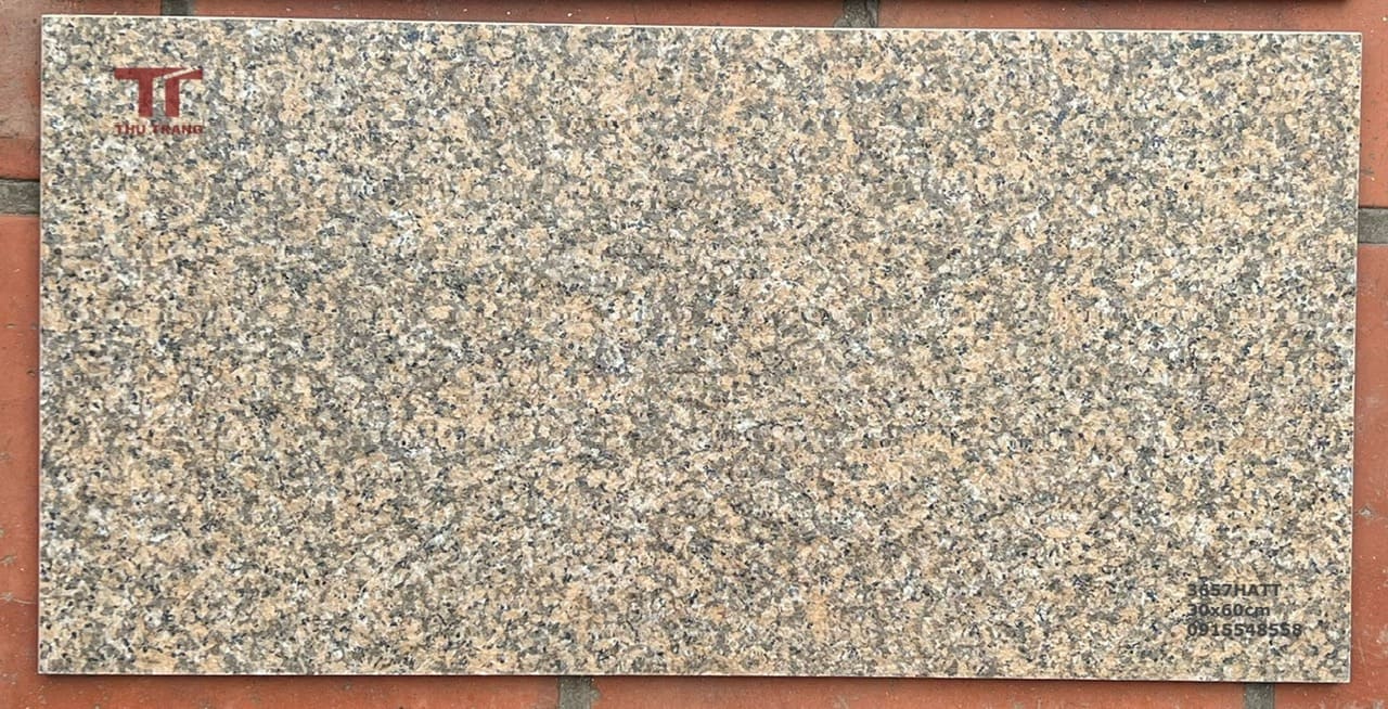GẠCH TERRAZZO 36TRZ57HATT (30X60cm)