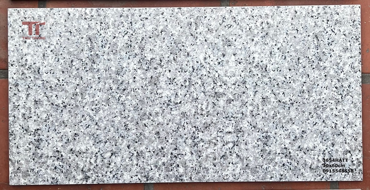 GẠCH TERRAZZO 36TRZ54HATT (30X60cm)