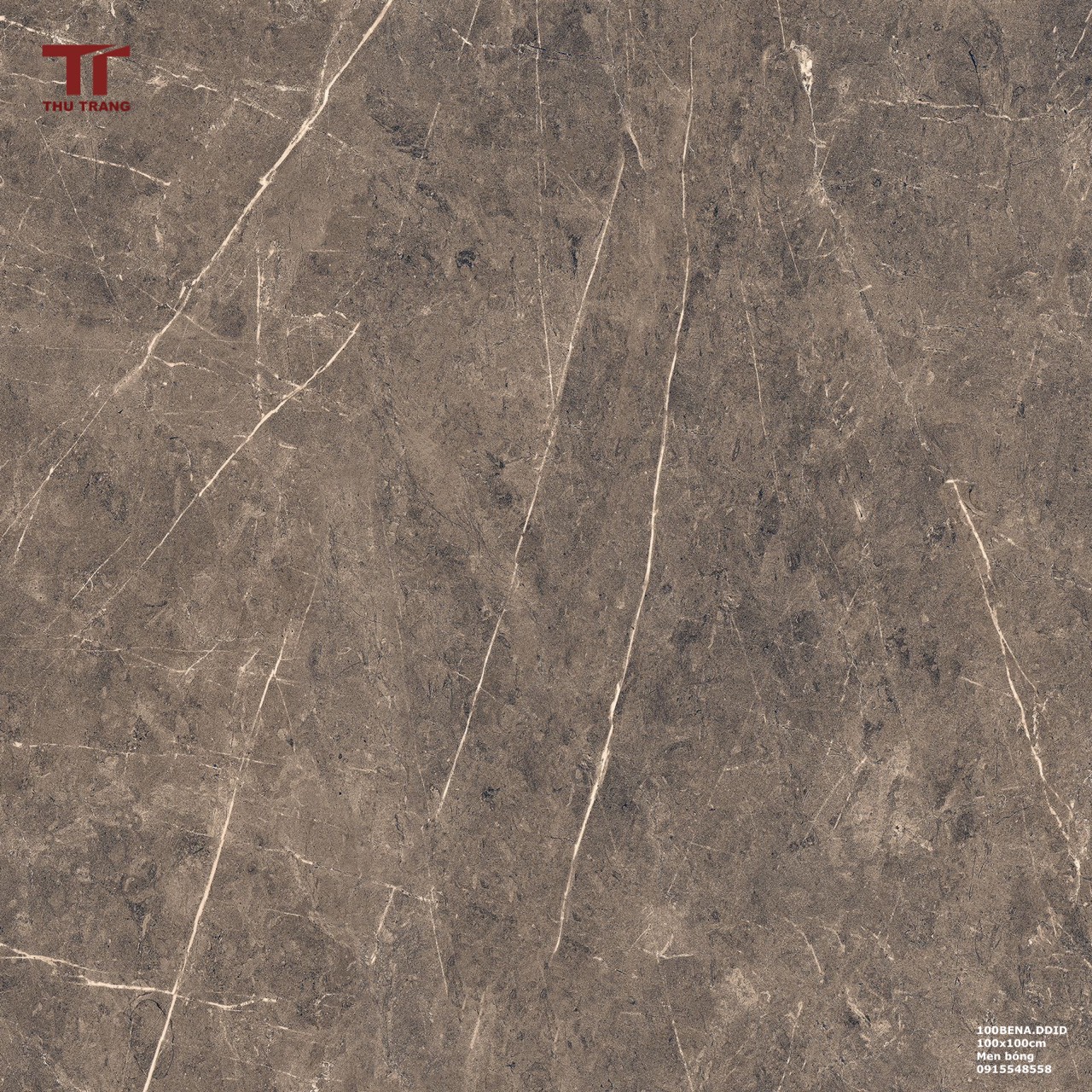 GẠCH VÂN ĐÁ KHỔ LỚN ẤN ĐỘ 100BENA.DDID (100x100cm)