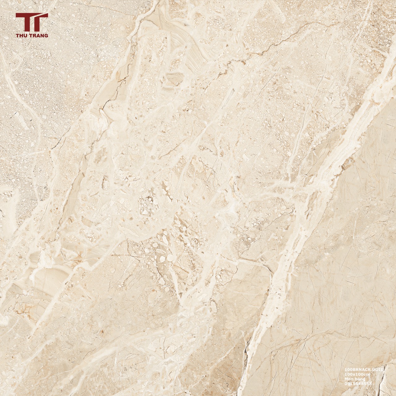GẠCH VÂN ĐÁ KHỔ LỚN ẤN ĐỘ 100BRNACR.DDID (100x100cm)