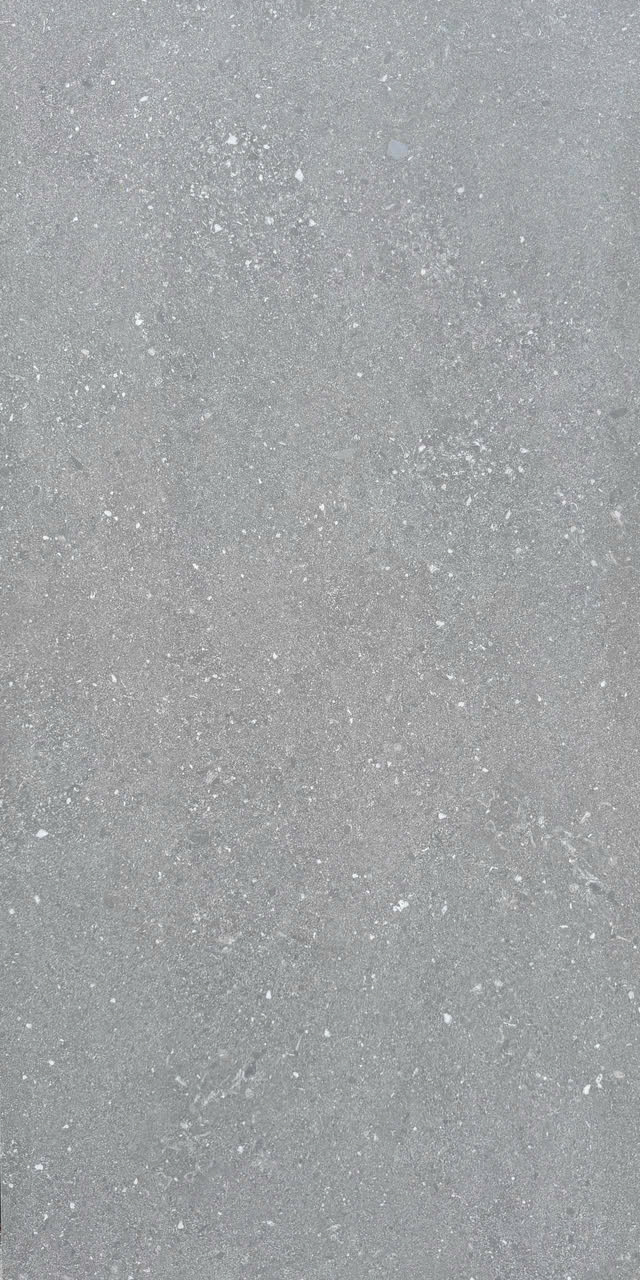 GẠCH TERRAZZO MALAYSIA 612DM008NRML (60x120cm)