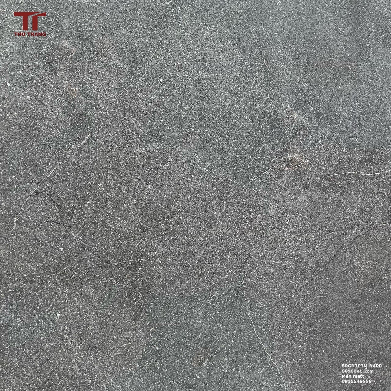 GẠCH VÂN ĐÁ 80GD303M.DAPD (80x80x1.2cm)