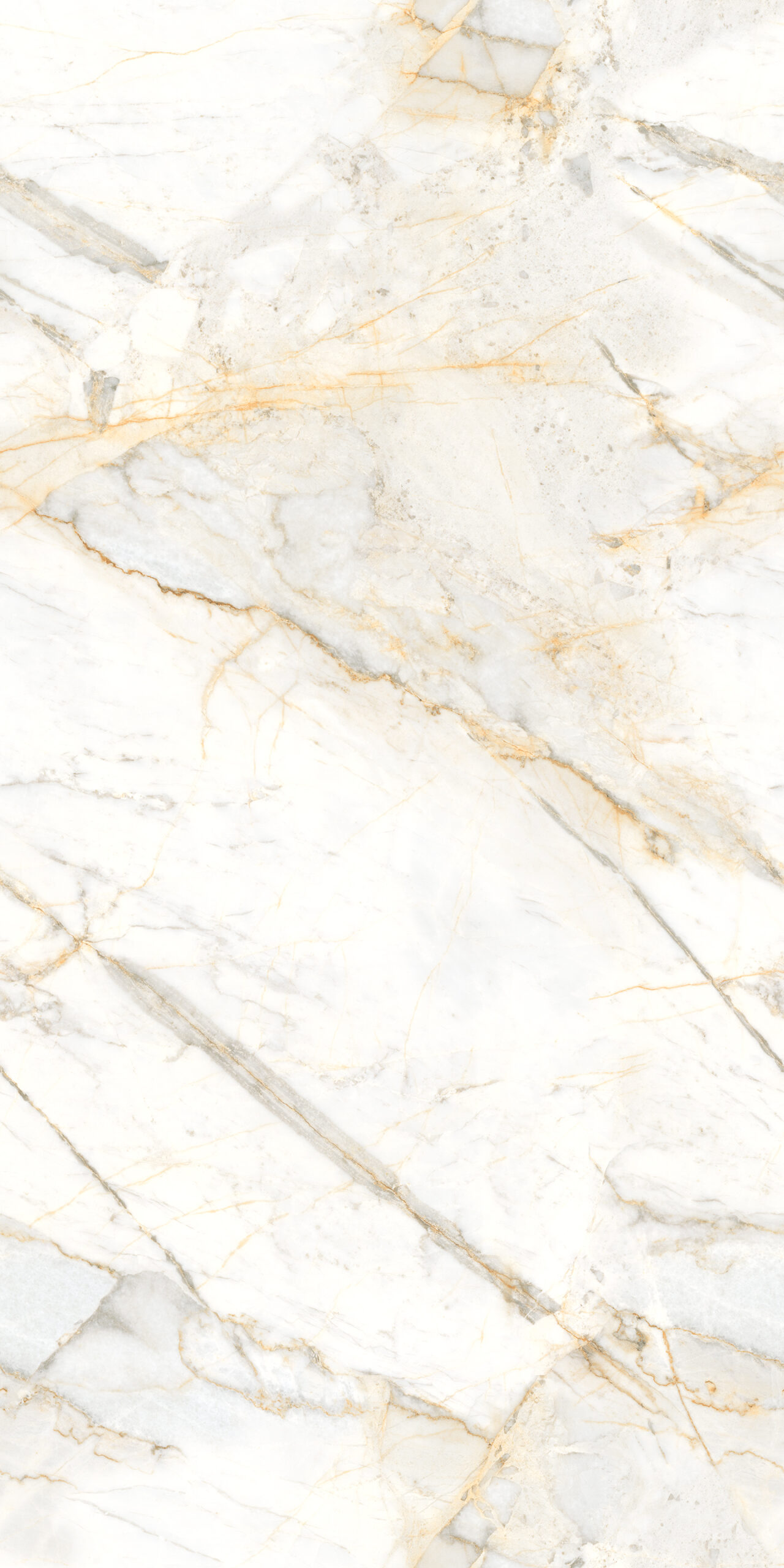 GẠCH VÂN ĐÁ KHỔ LỚN ẤN ĐỘ 816ENCABR.TSPID (80x160cm)