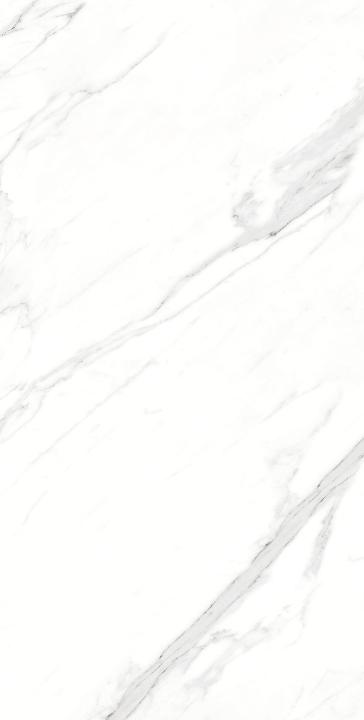 GẠCH VÂN ĐÁ KHỔ LỚN ẤN ĐỘ 816TIGRGR-WH.TSPID (80x160cm)