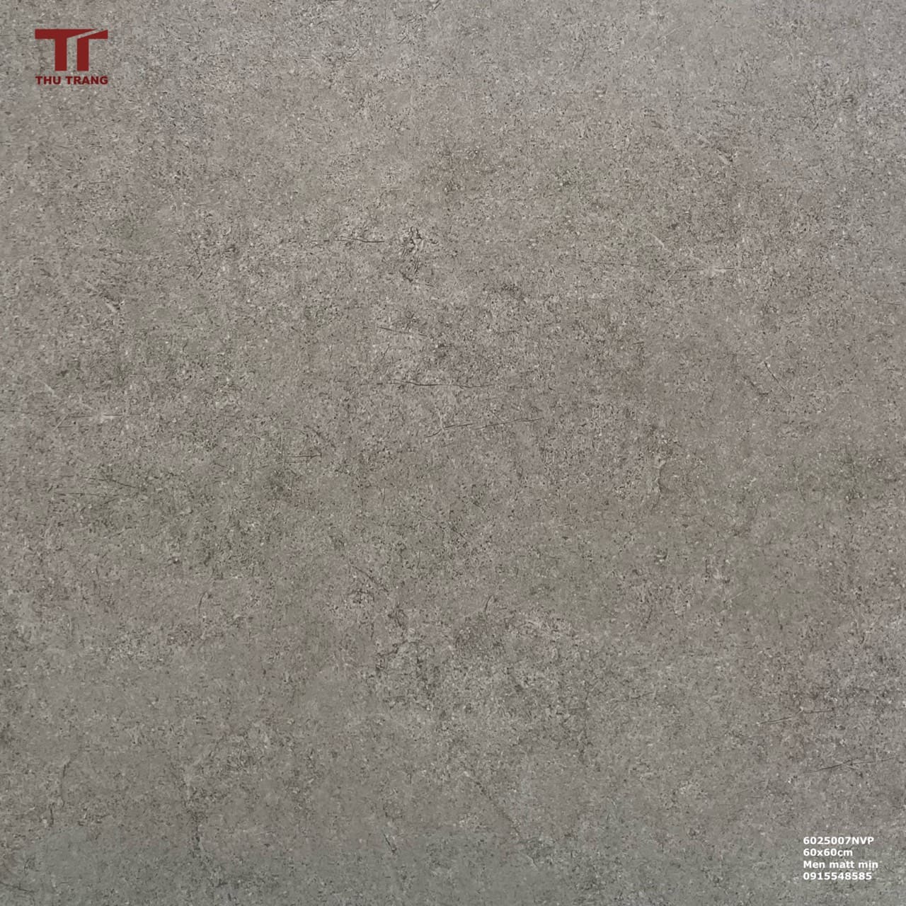 GẠCH VÂN XI MĂNG 6025007NVP (60x60cm)