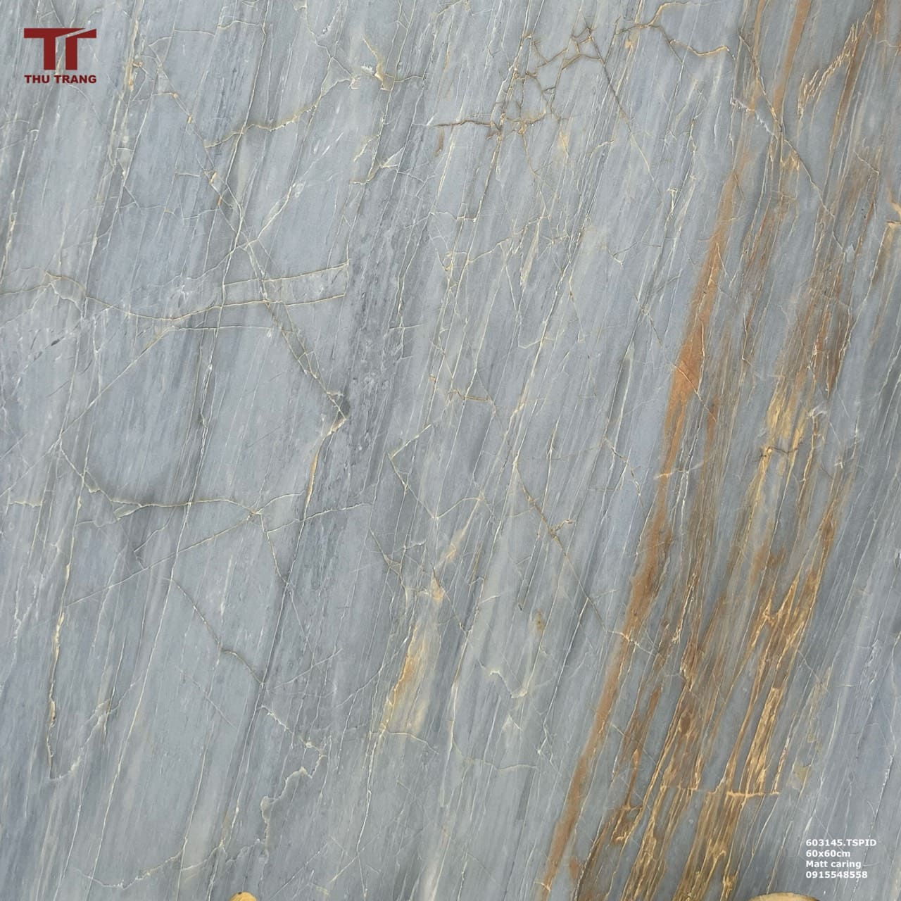 GẠCH VÂN ĐÁ ẤN ĐỘ 603145.TSPID (60x60cm)