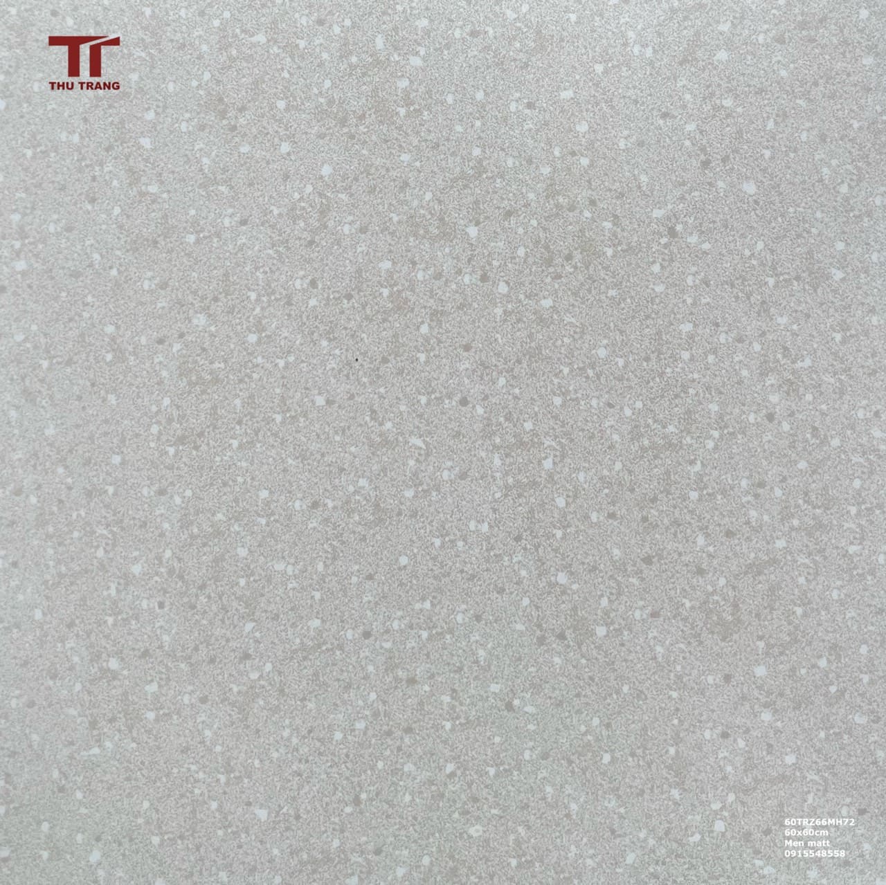 GẠCH TERRAZZO 60TRZ66MH72CM/HTTRD (60x60cm)