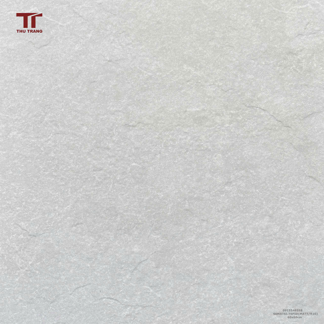 GẠCH VÂN XI MĂNG ẤN ĐỘ 60MESTSI.TSPID (60x60) -R10