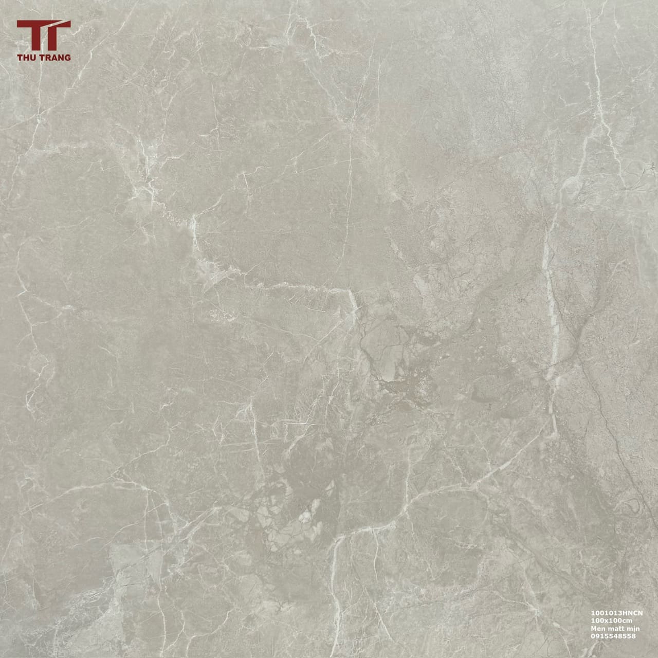 GẠCH VÂN ĐÁ KHỔ LỚN TRUNG QUỐC 1001013HNCN (100x100cm)
